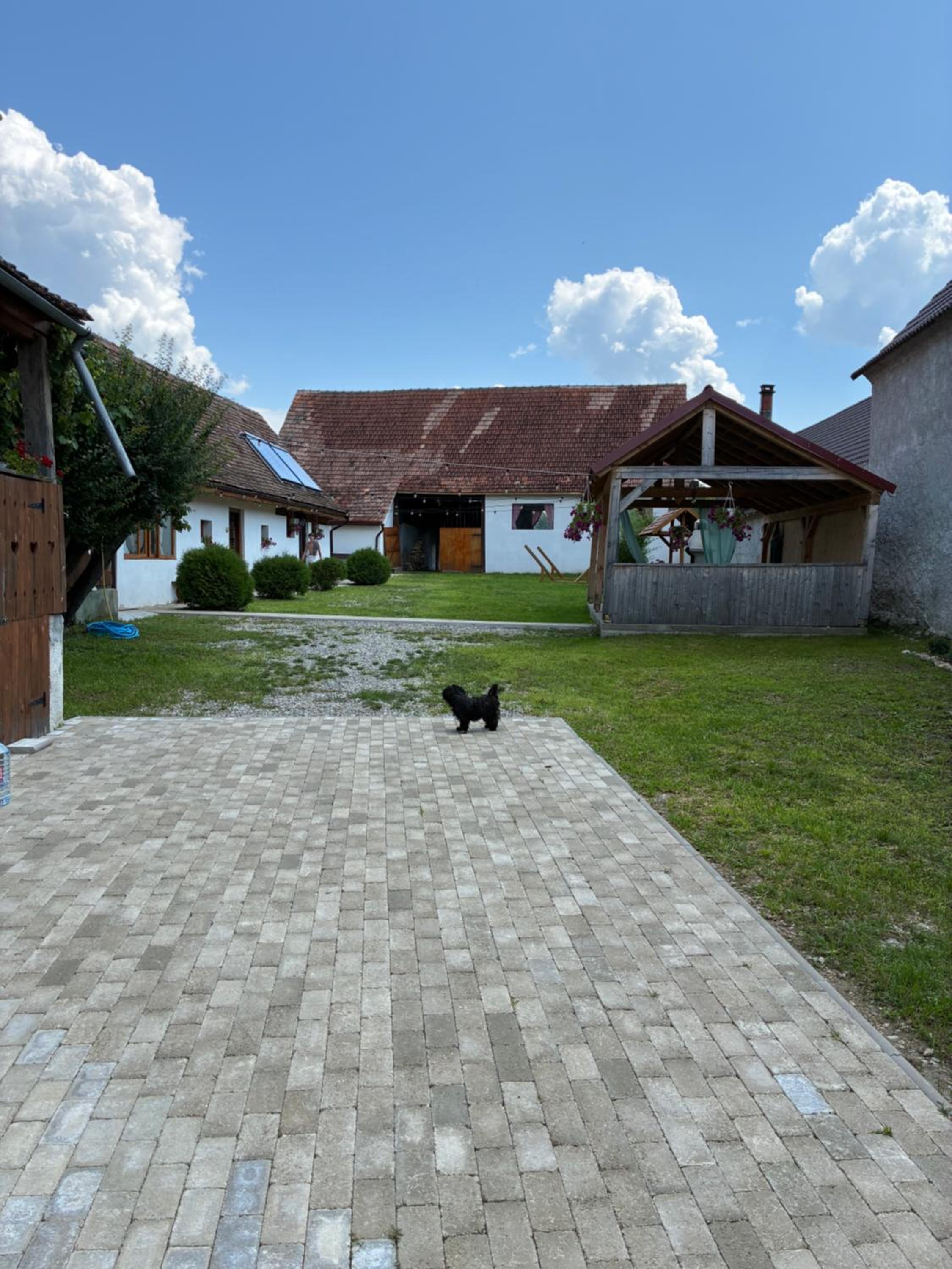 Photo 25