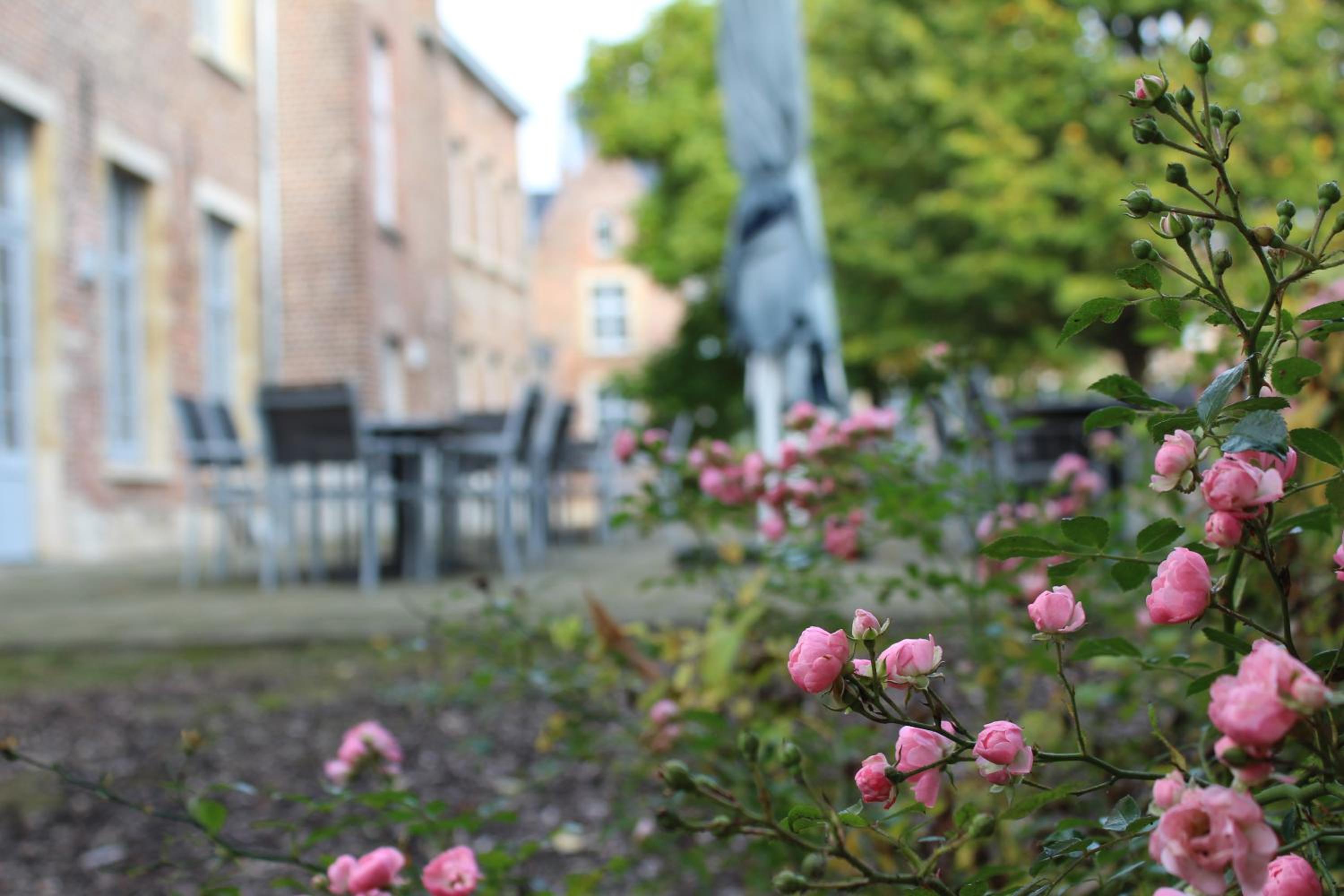 Irish College Leuven