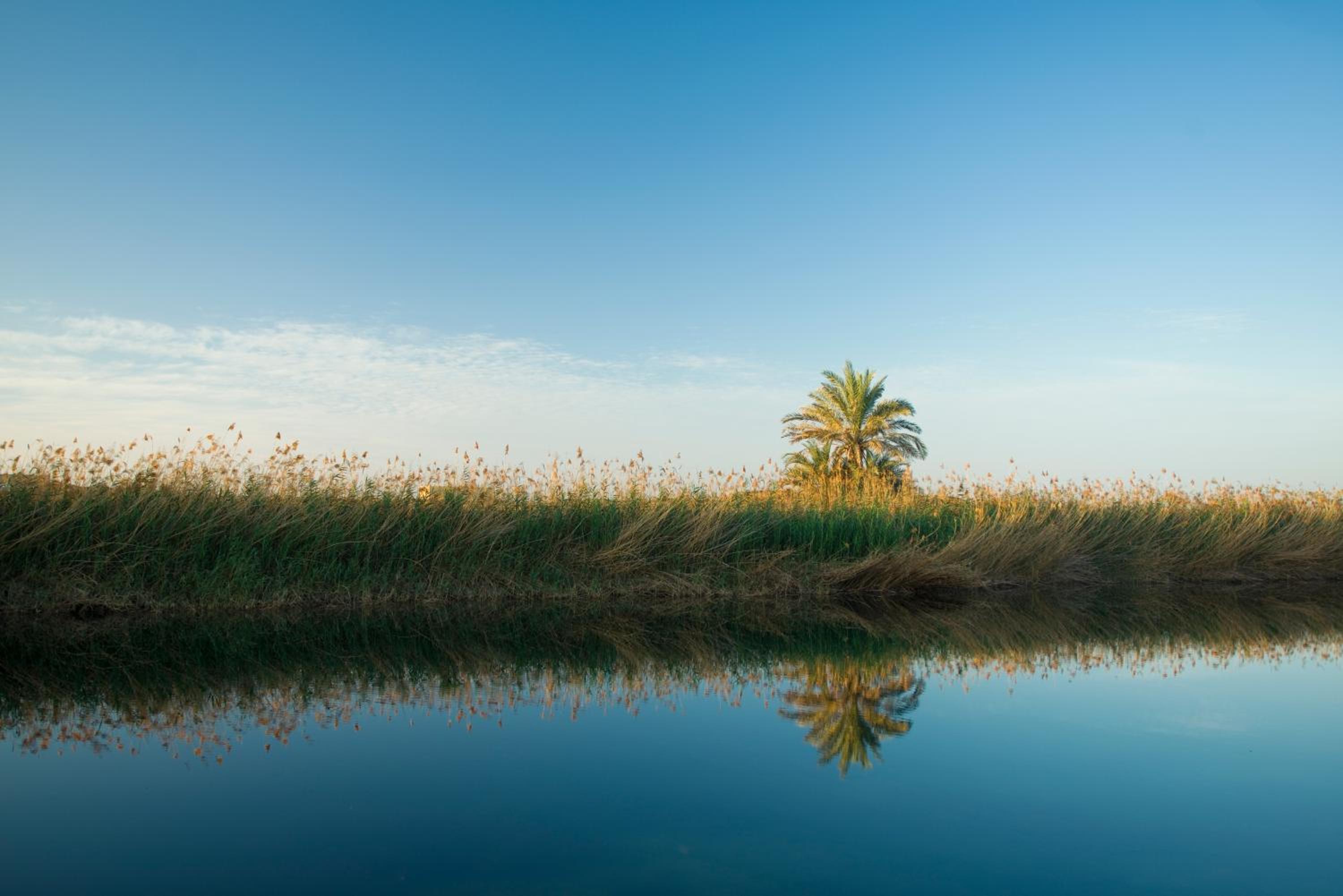 Al Baleed Resort Salalah by Anantara — photo 44