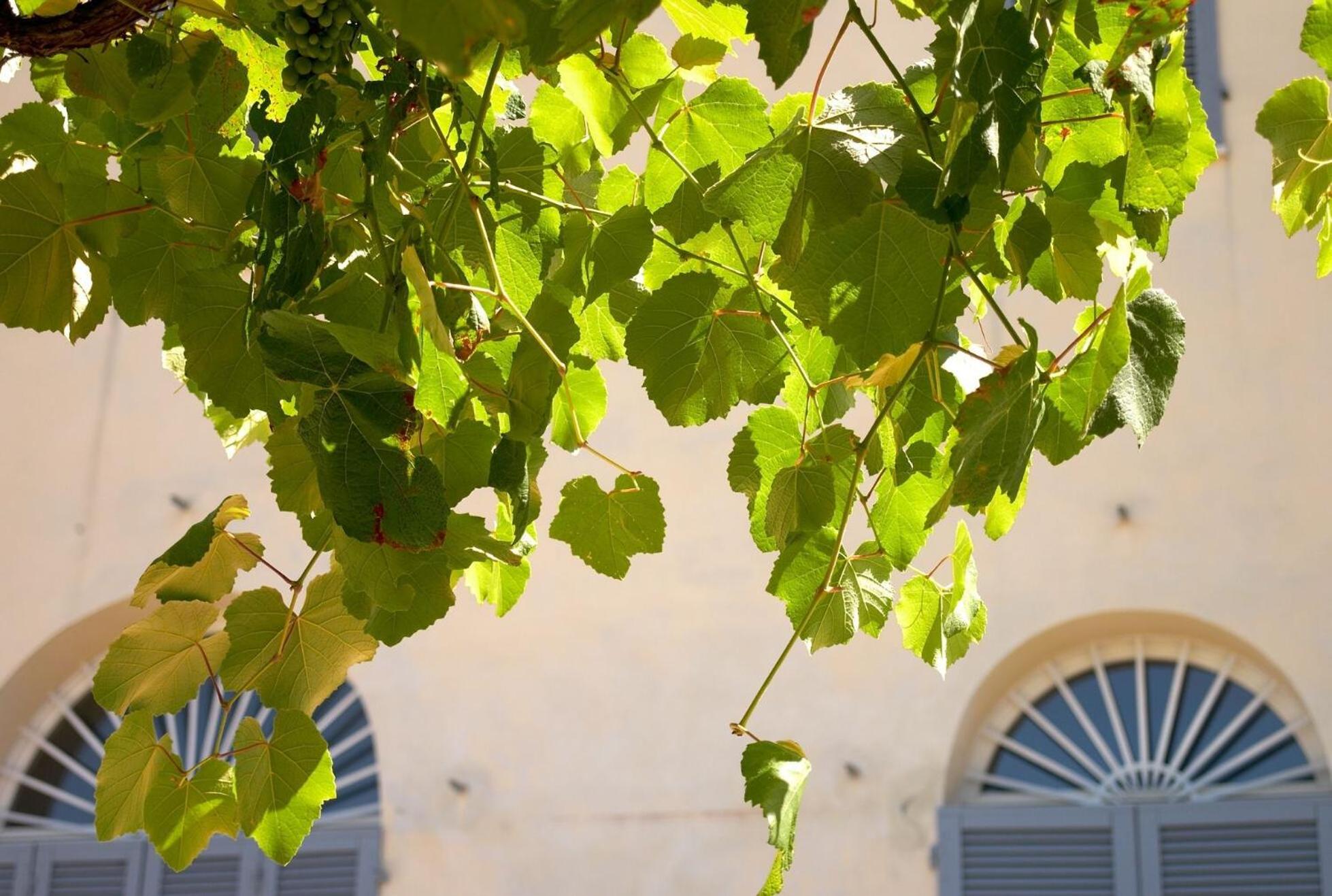 Podere Riparbella
