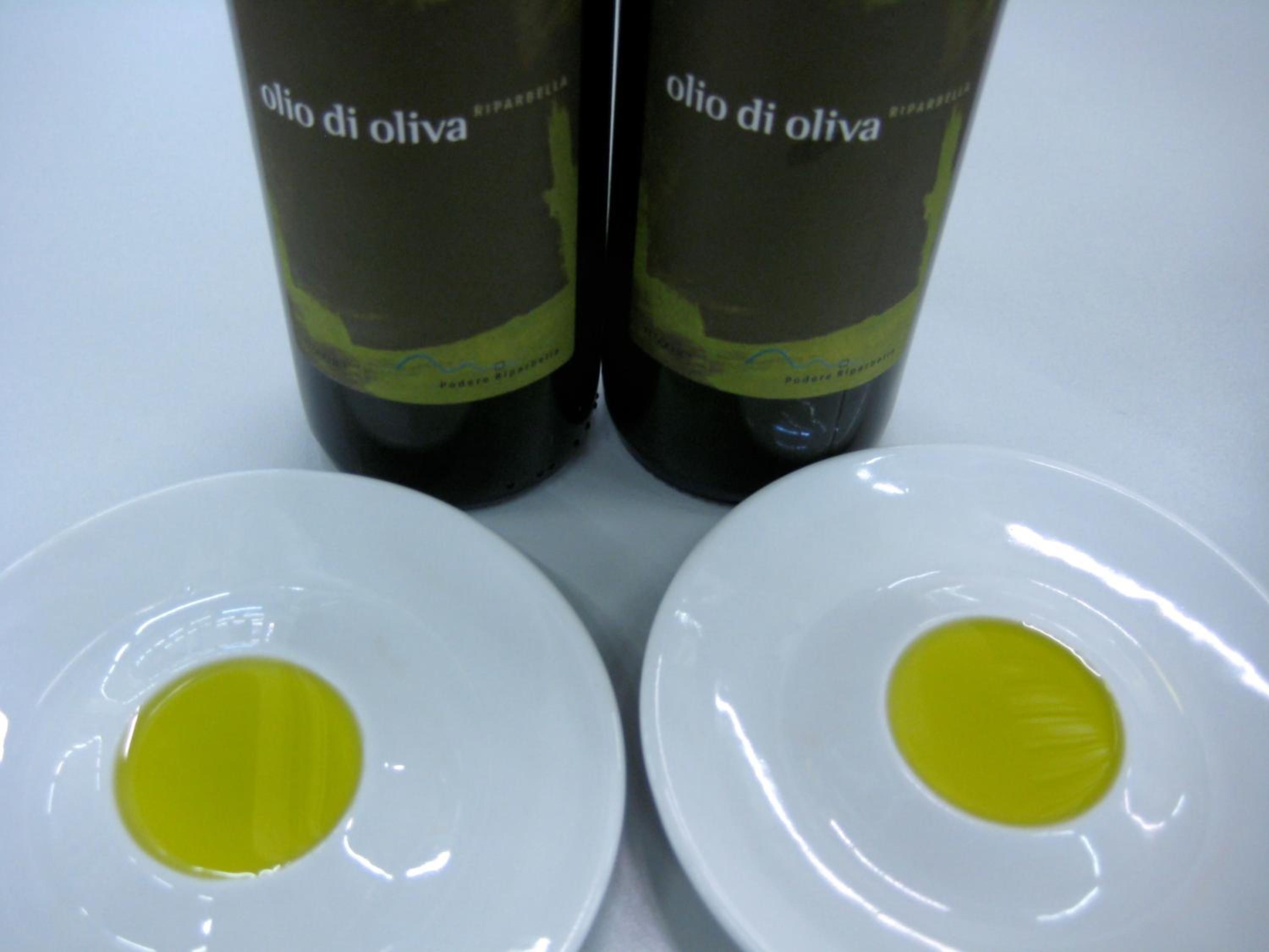 Podere Riparbella