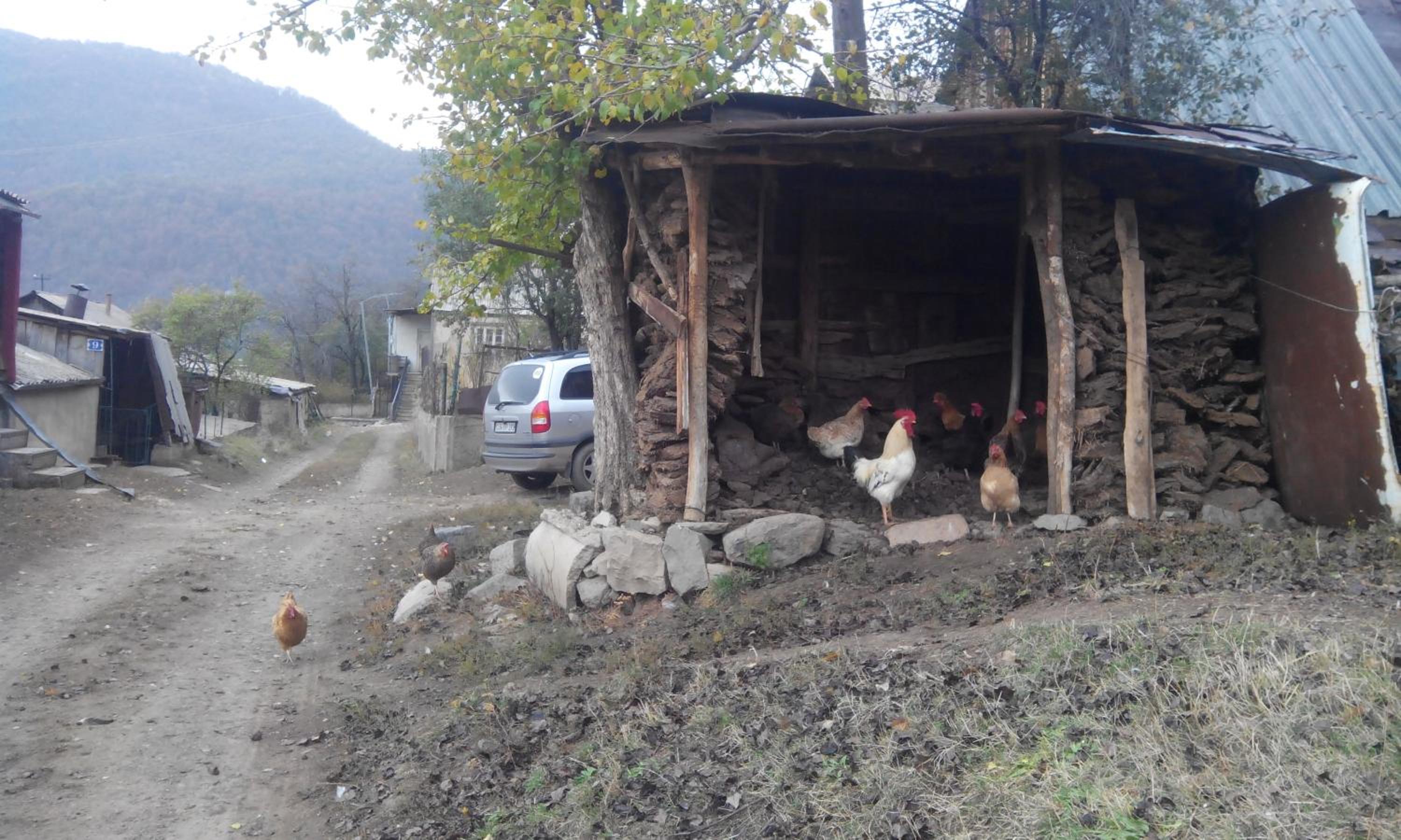 Eco Guest House Meghradzor
