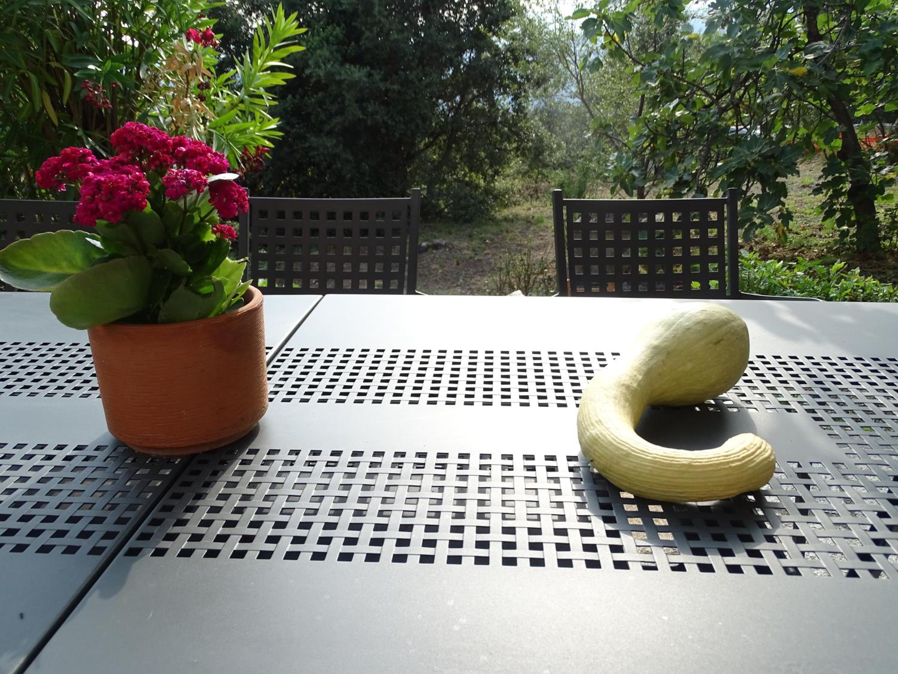 Ca Du Ventu photo 4