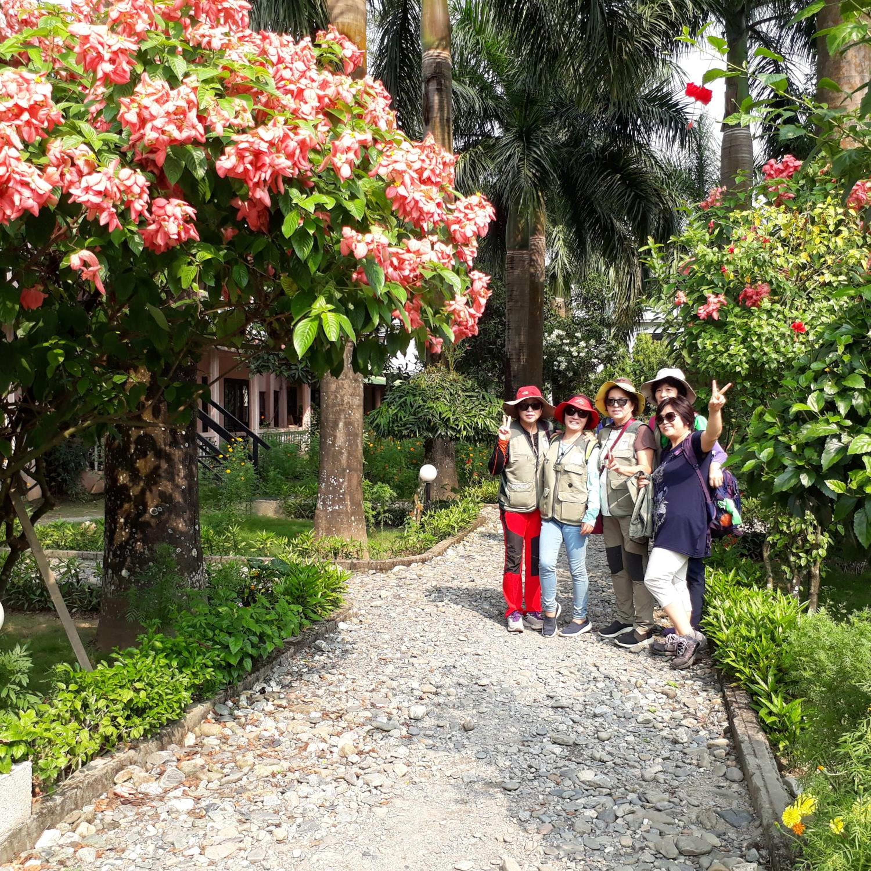 Sauraha Resort
