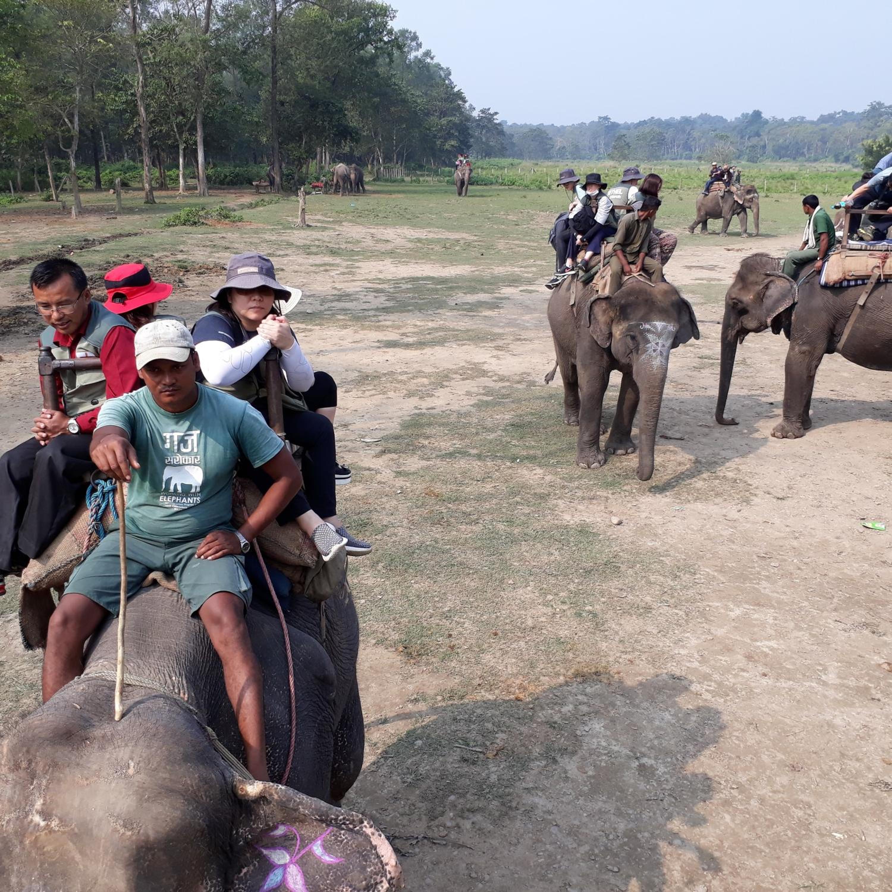 Sauraha Resort