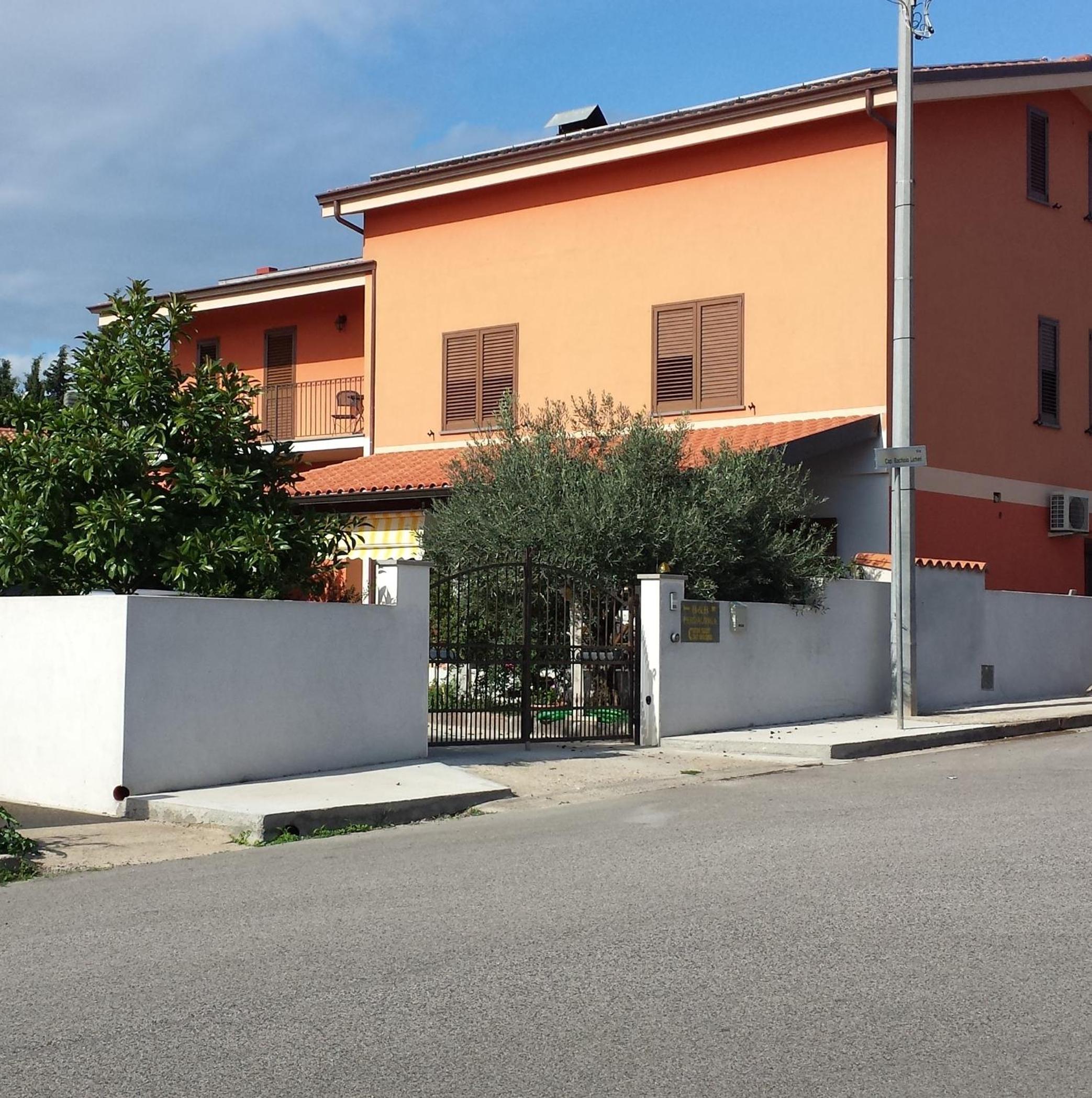 Photo 8