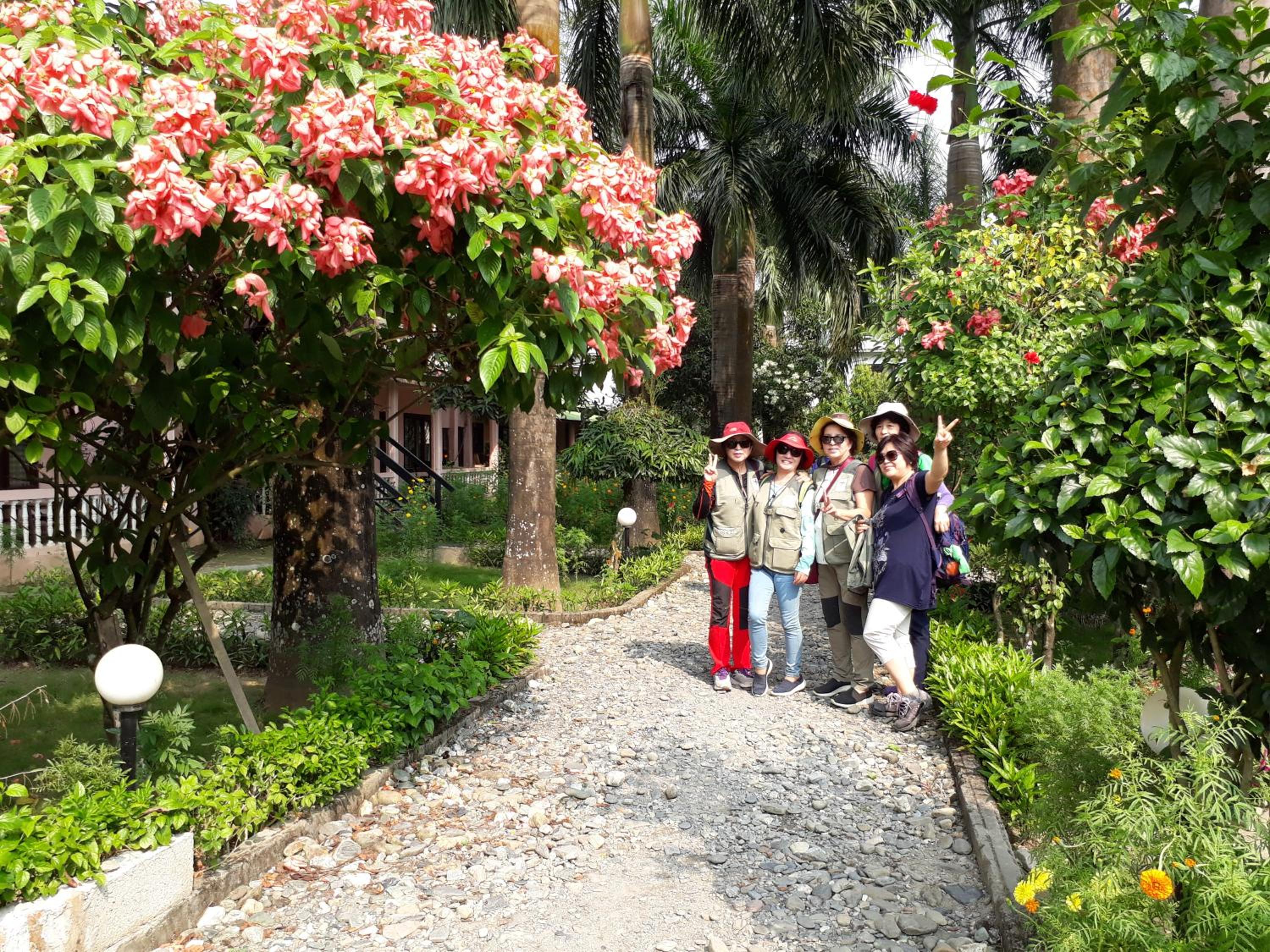 Sauraha Resort