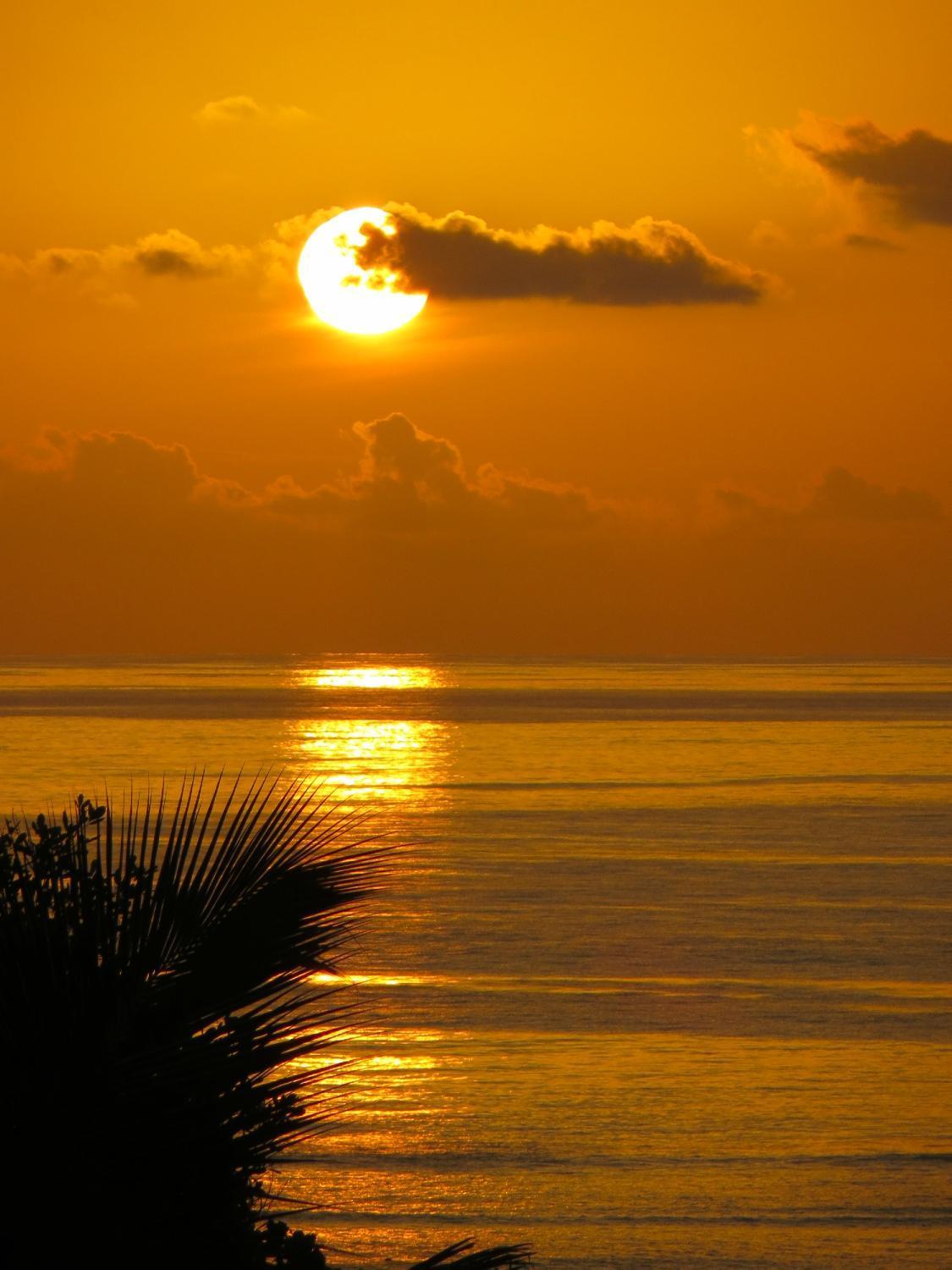 Au Fond De Mer View