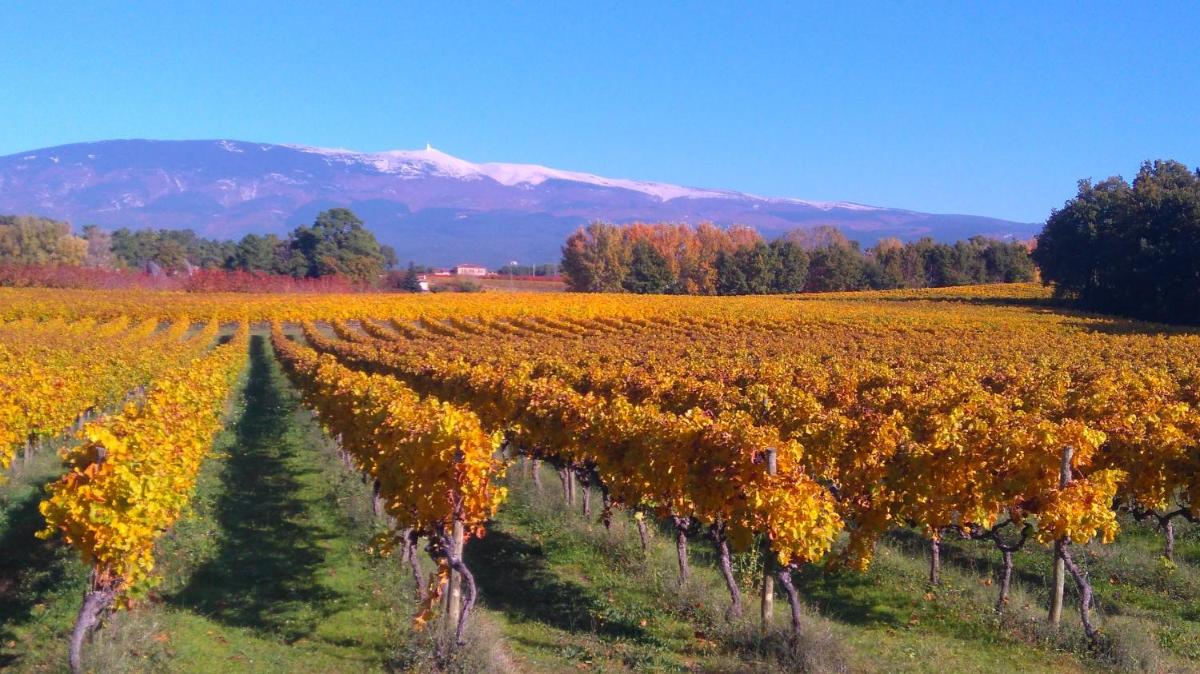 Domaine Lafayette - Property Image 40