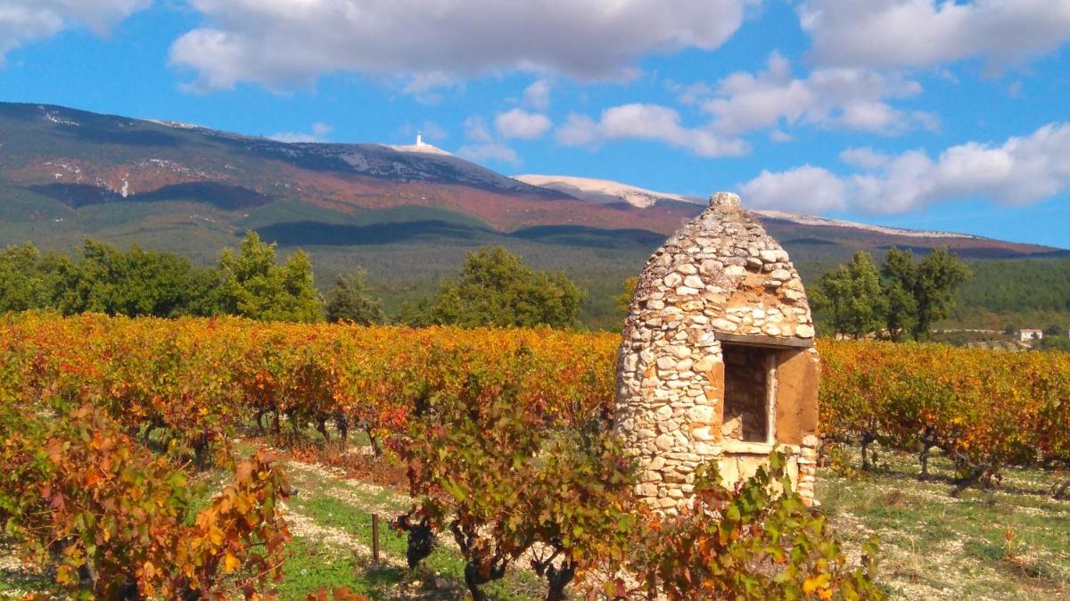 Domaine Lafayette - Property Image 39