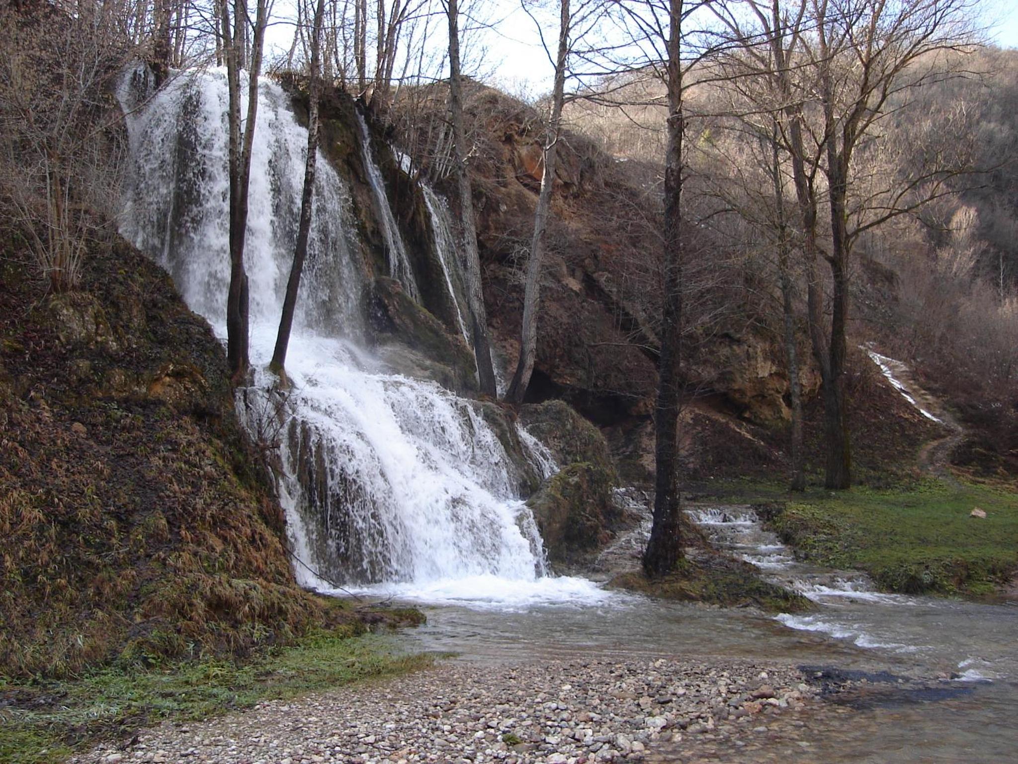 Photo 40
