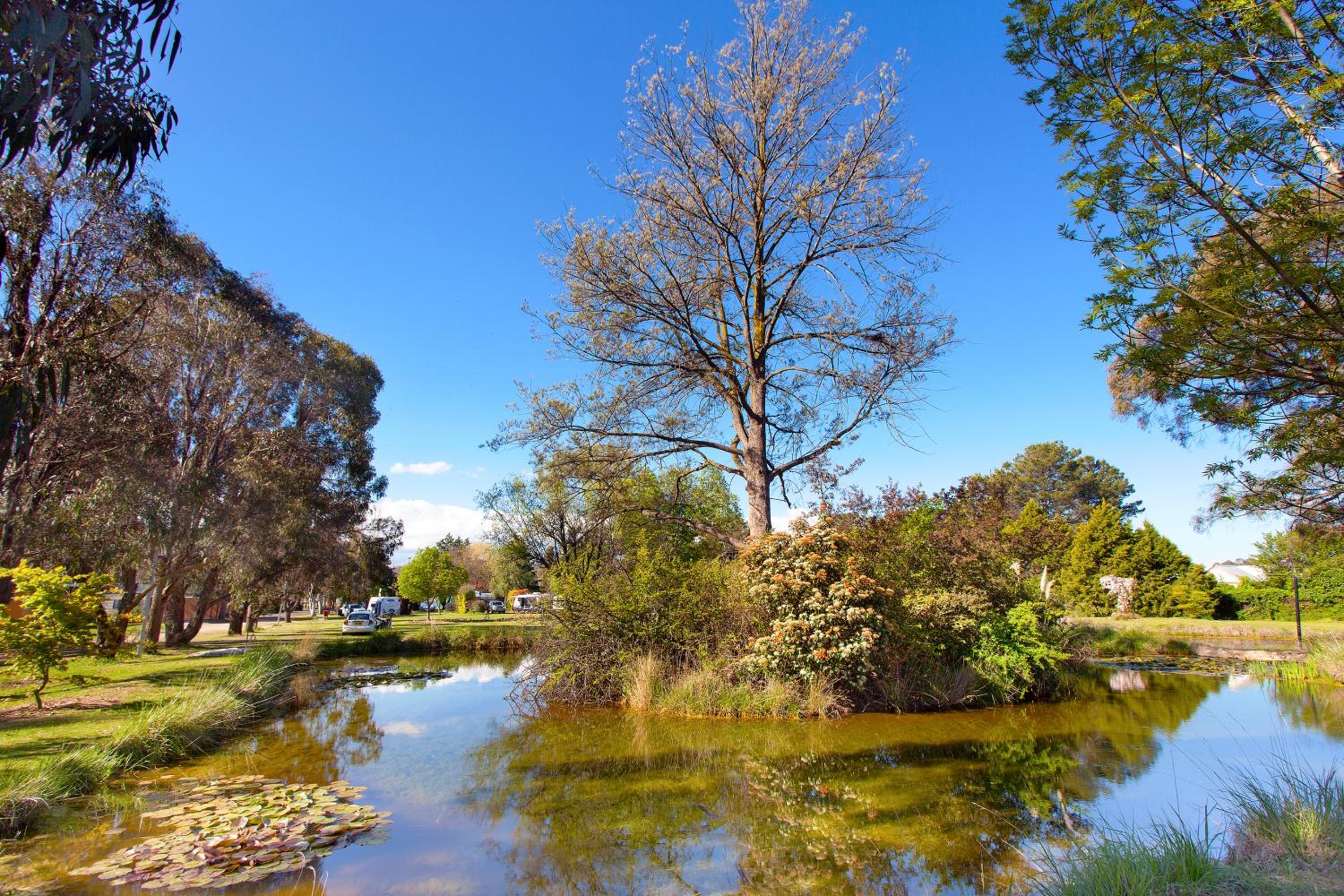 Armidale Tourist Park