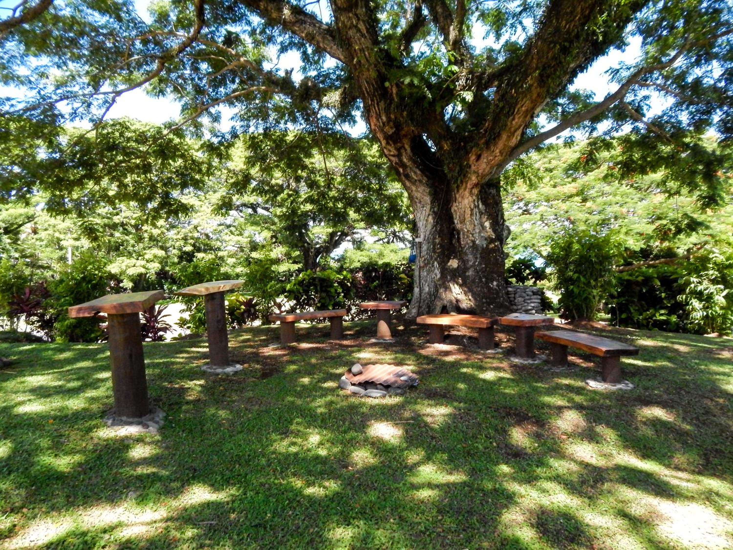 Taveuni Dive Resort - view 14