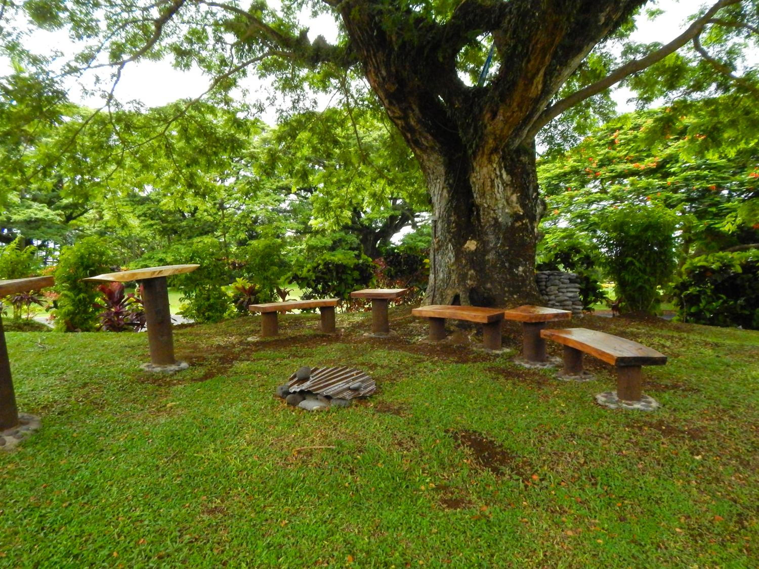 Taveuni Dive Resort - view 23