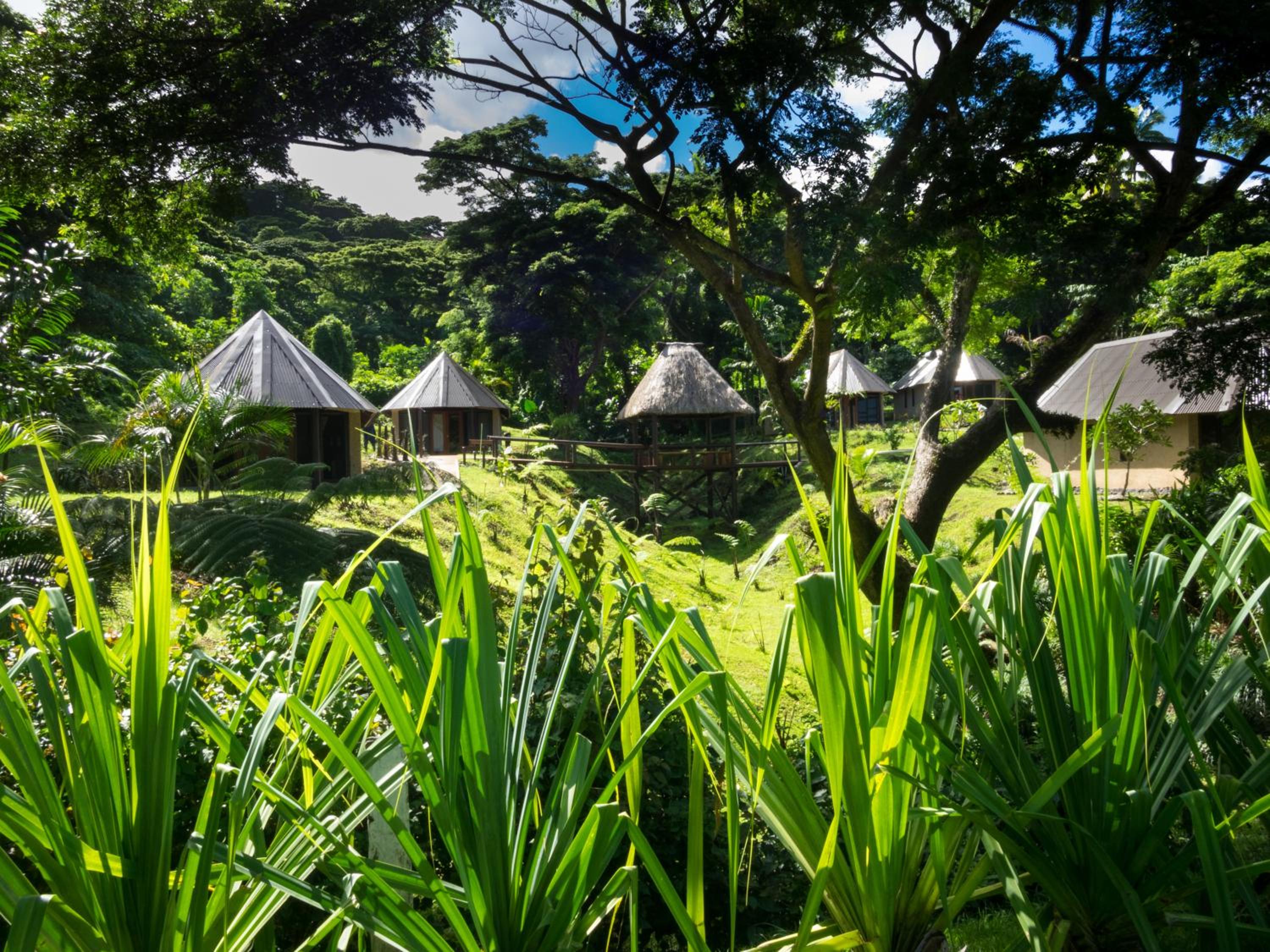 Taveuni Dive Resort - view 18