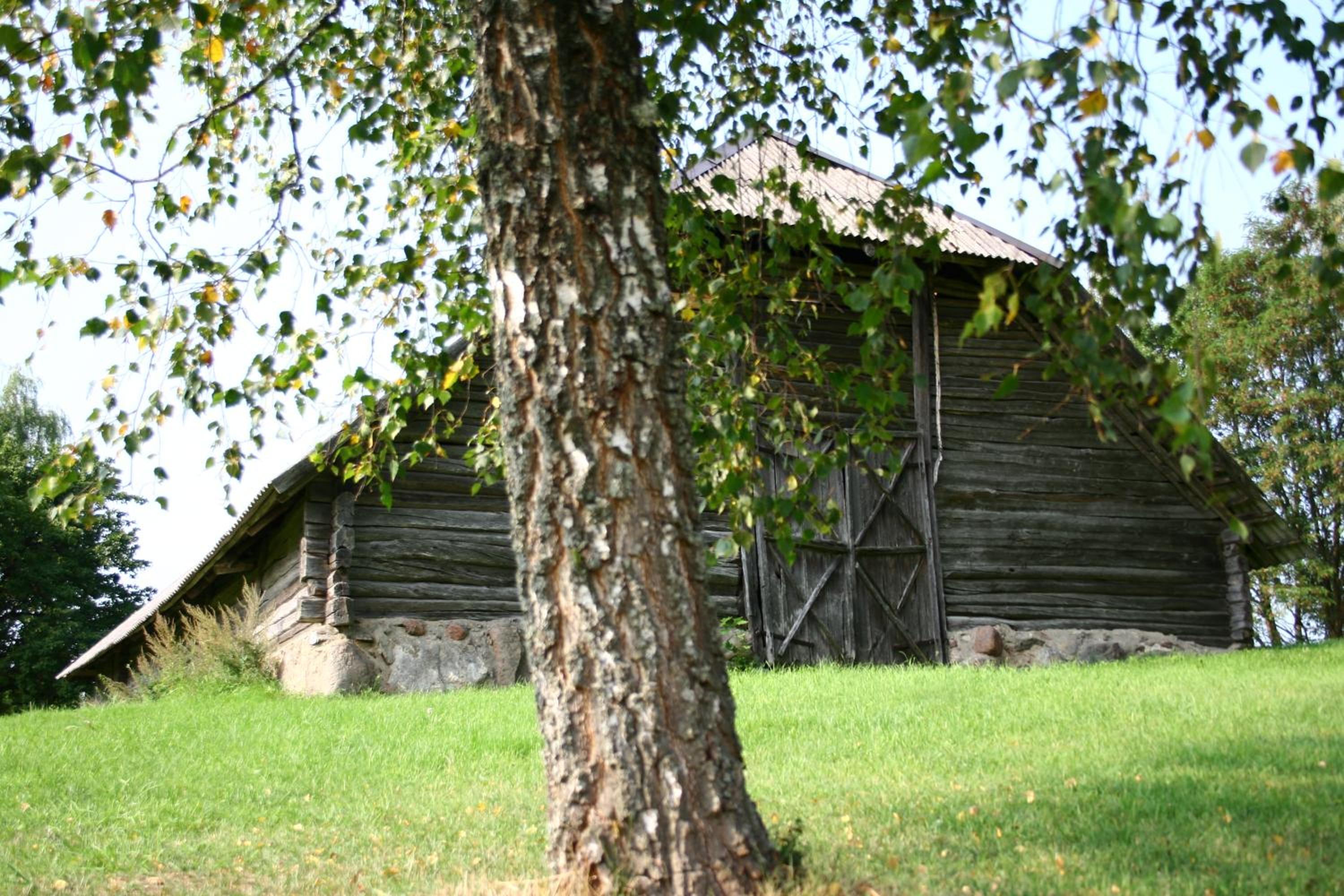 Photo 50