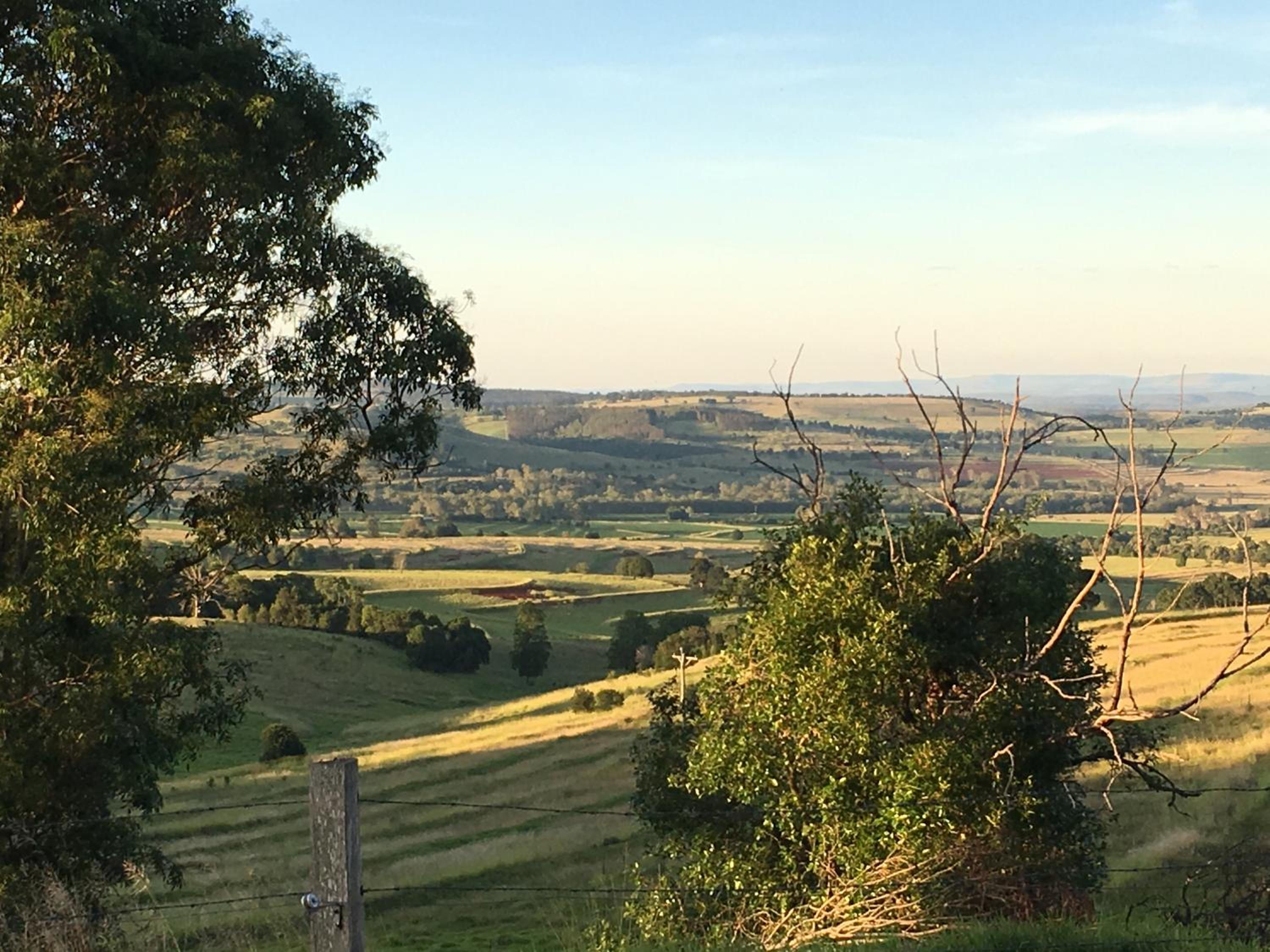 Hillview Cottages