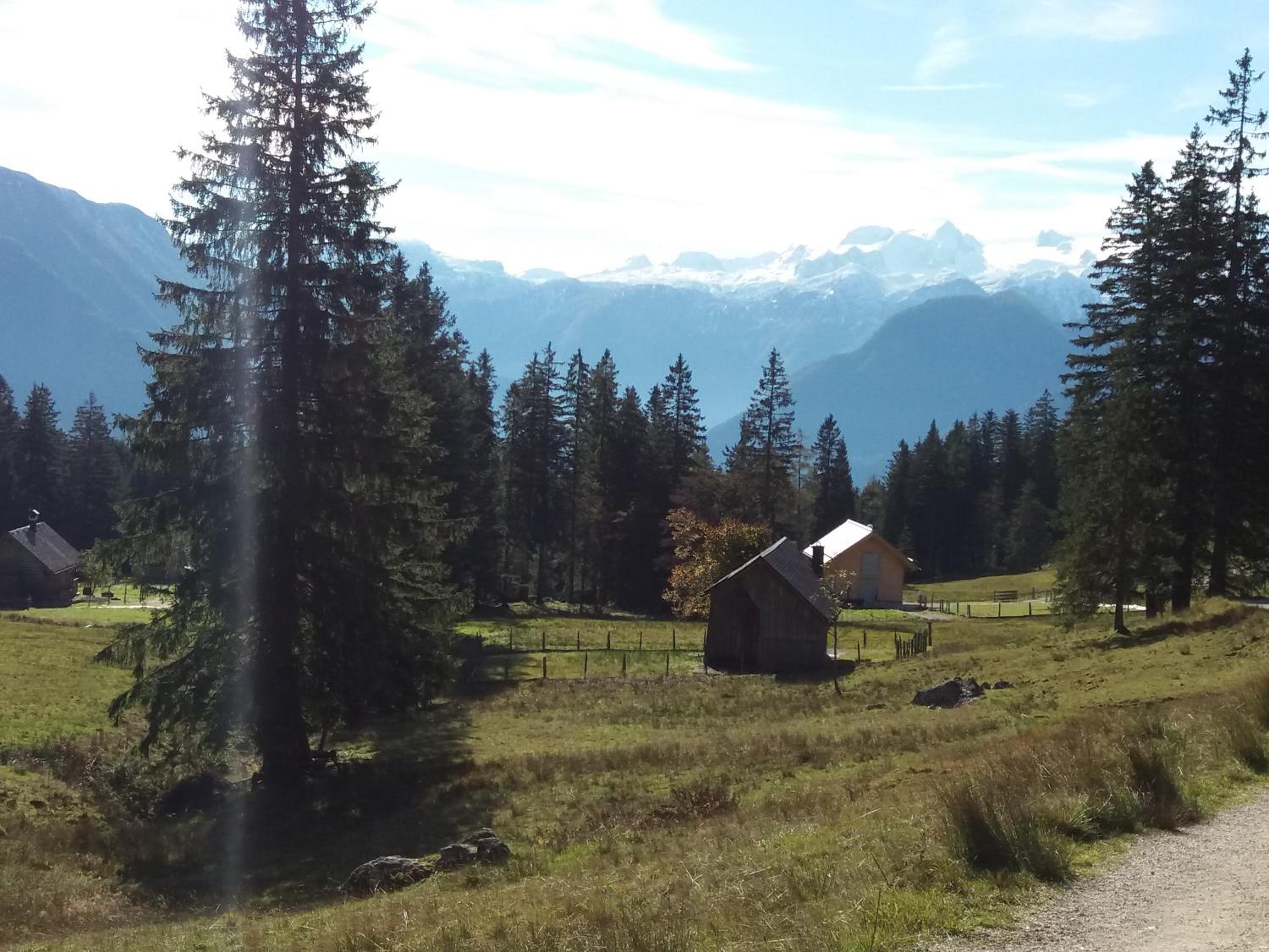 Apartmenthaus Hinterer