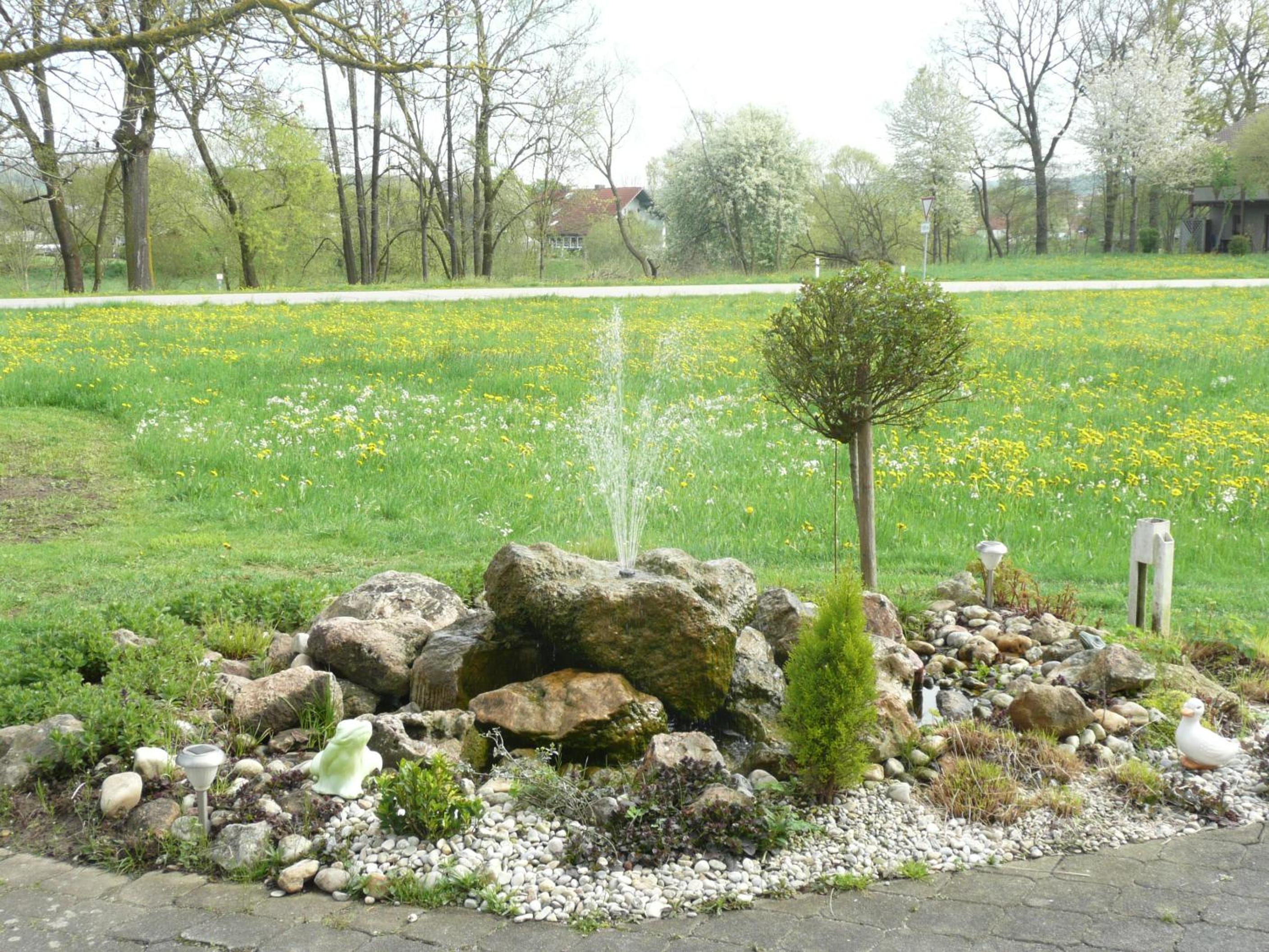 Photo 29