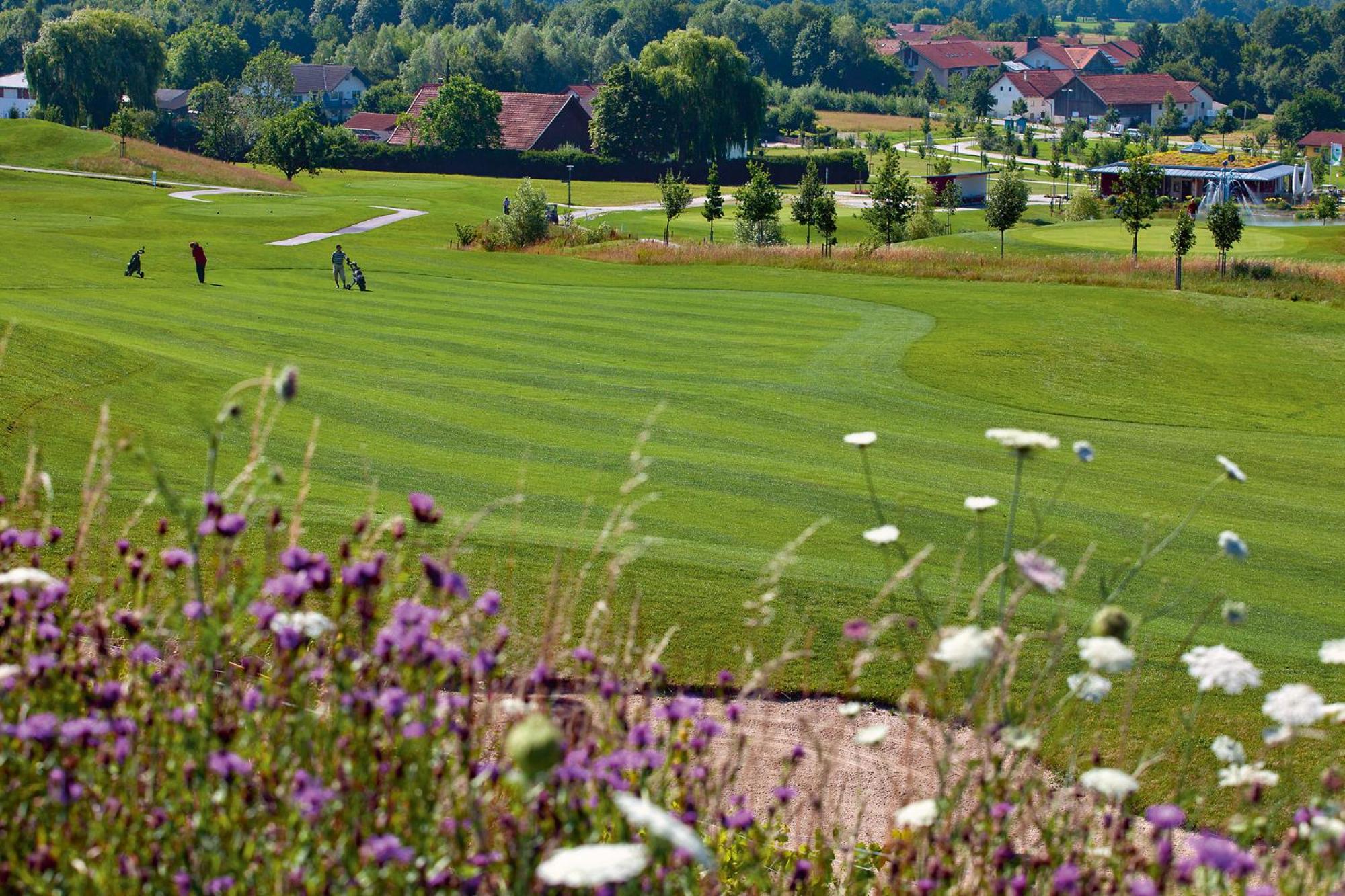Photo 30