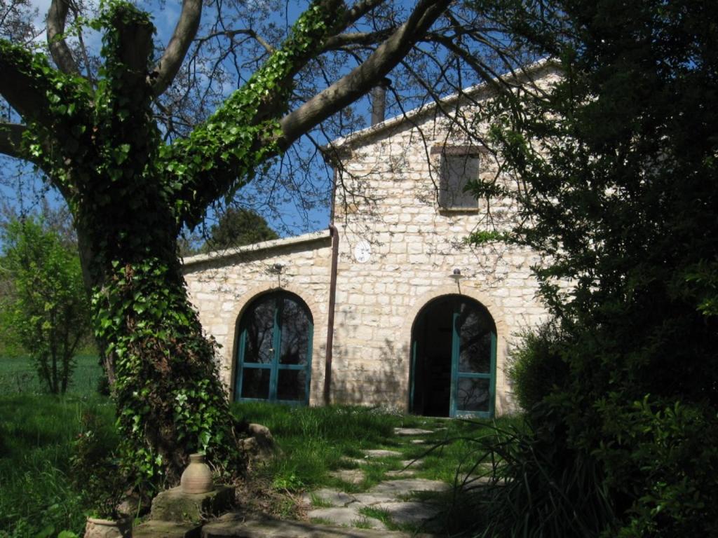 Photo 17
