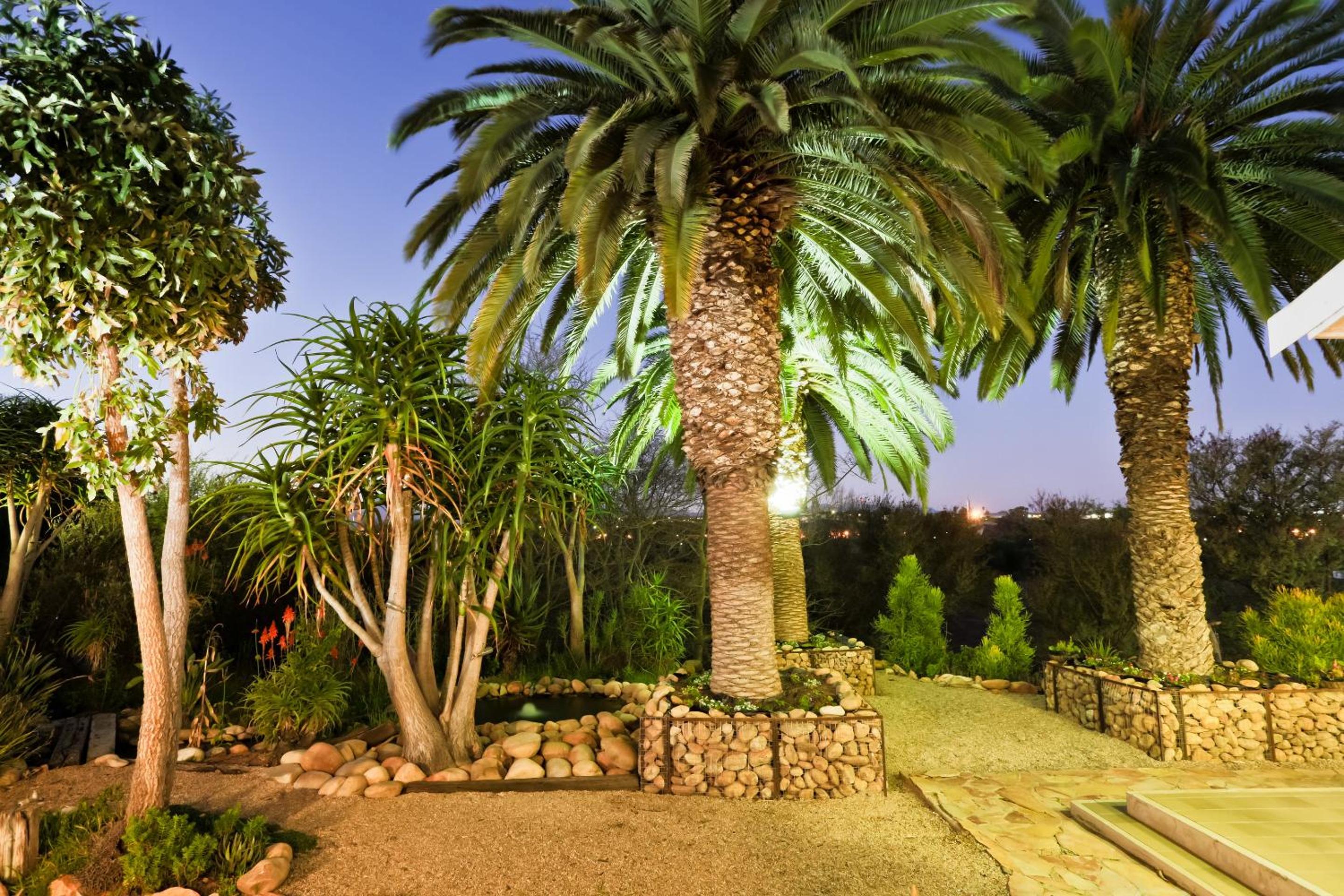 Aloe Manor