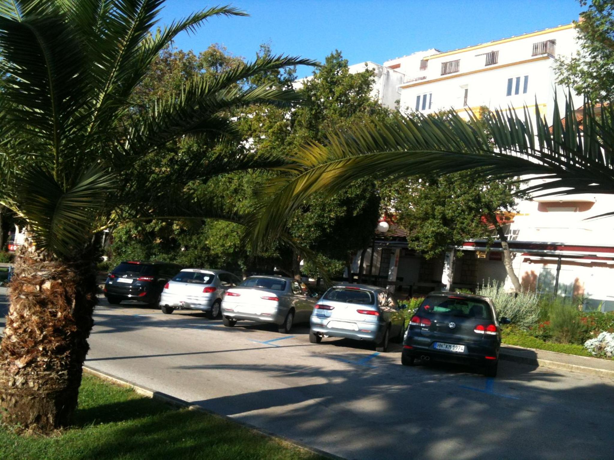 Photo 141
