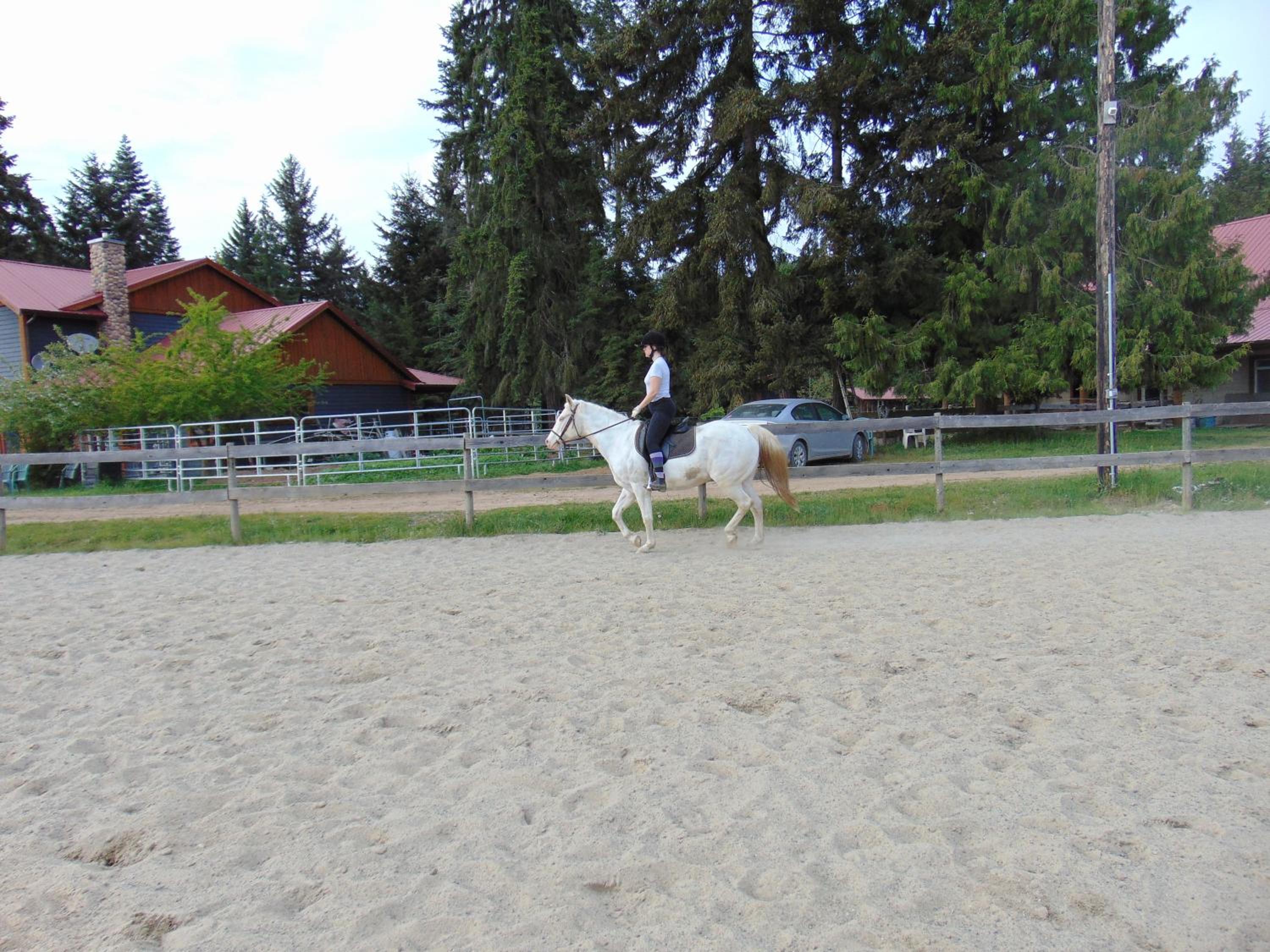 Photo 23