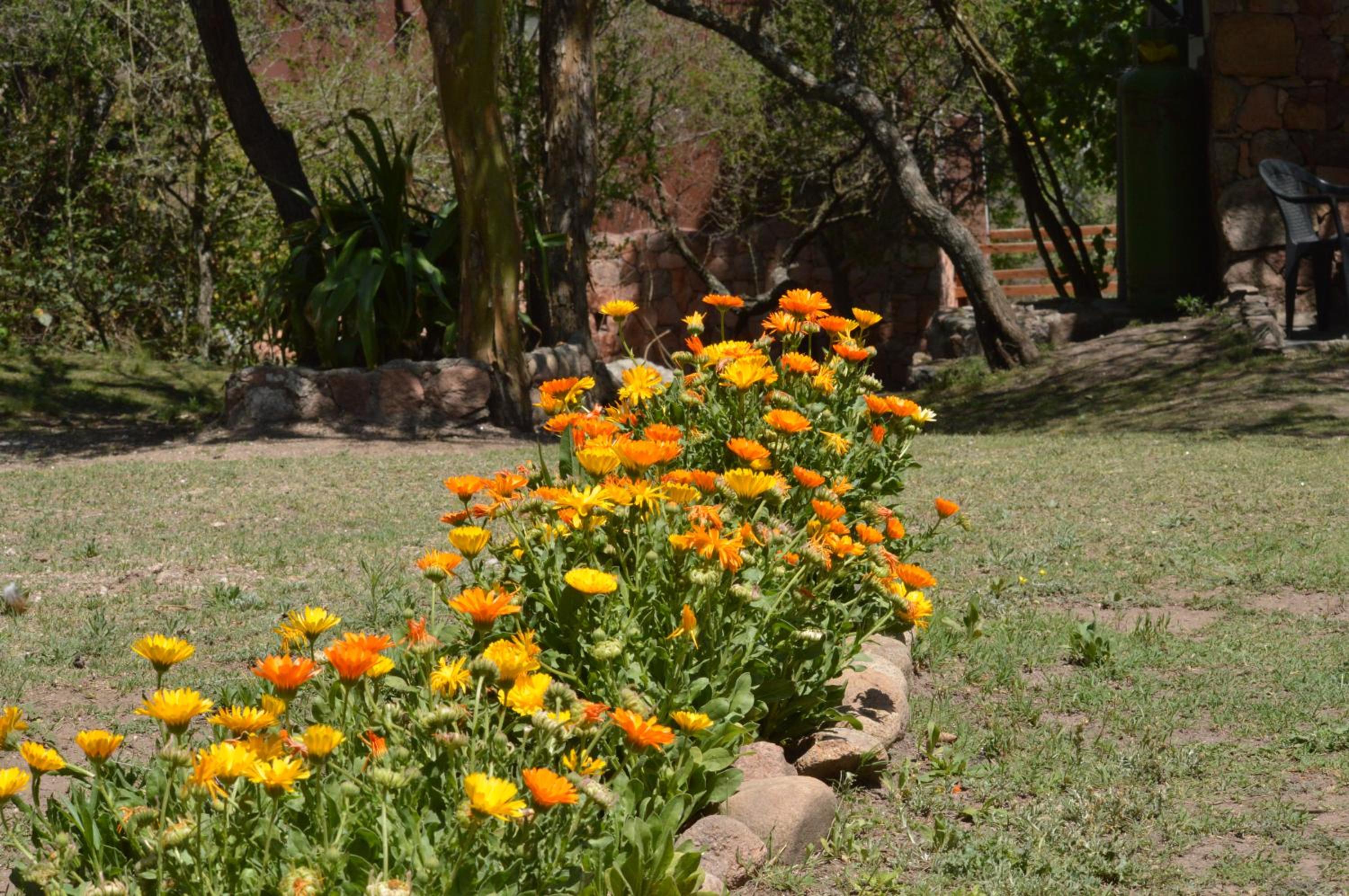 Rancho Escondido