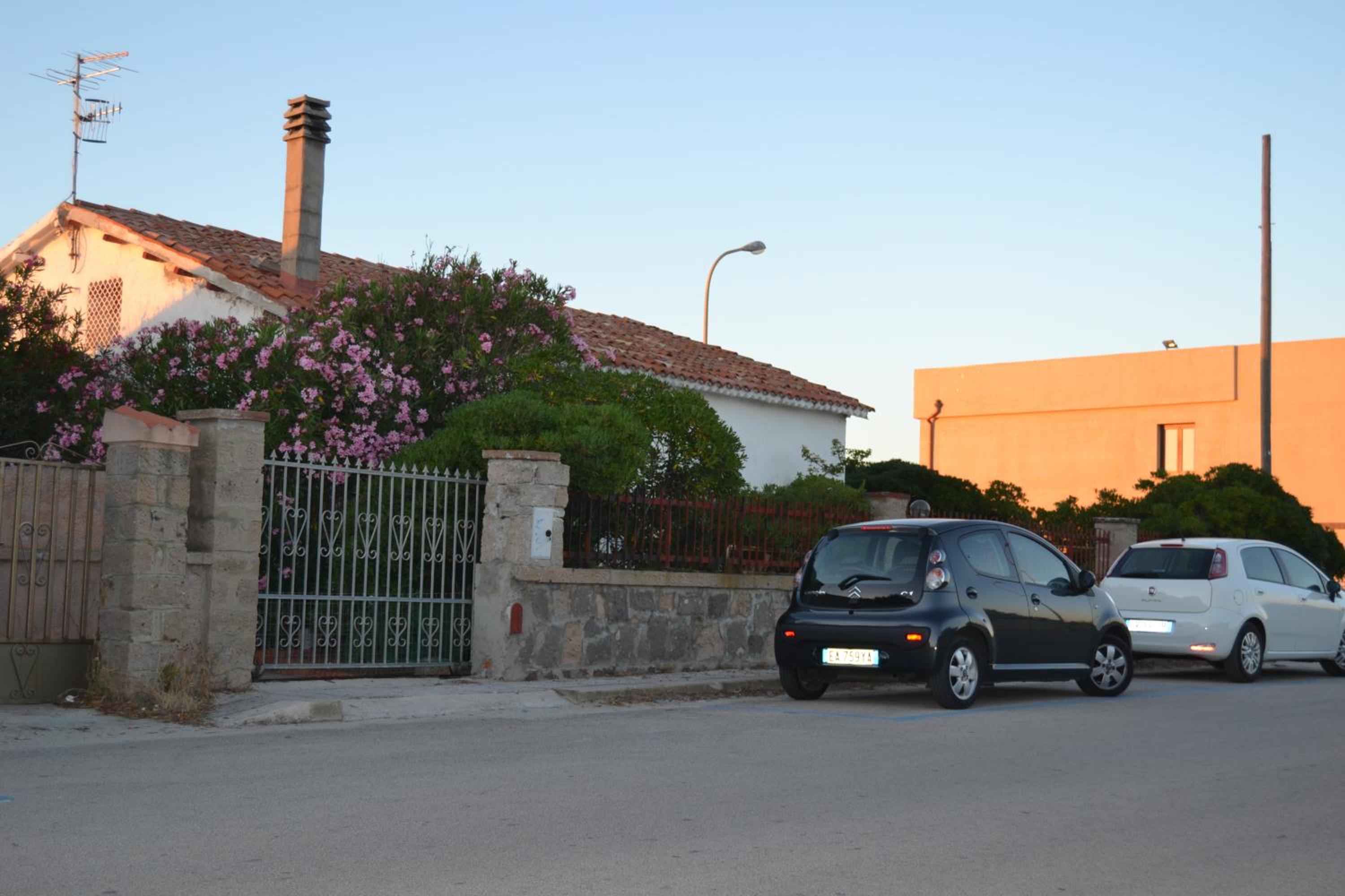 Photo 46