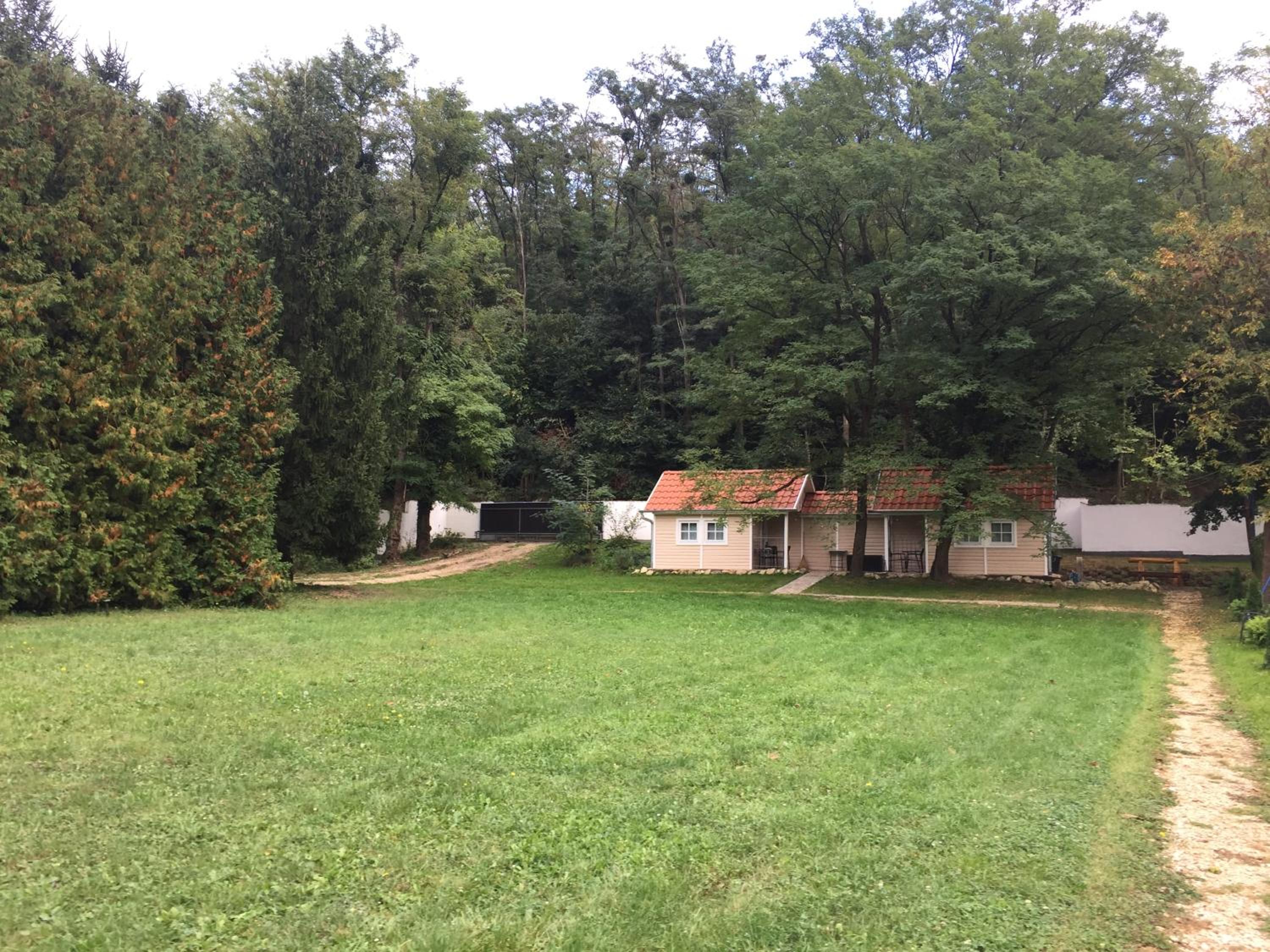 Photo 21