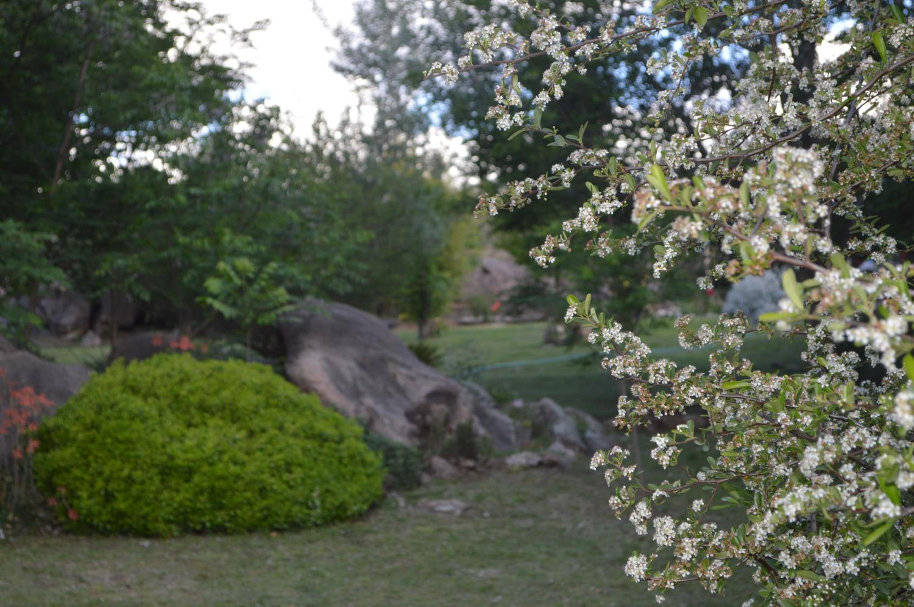 Rancho Escondido