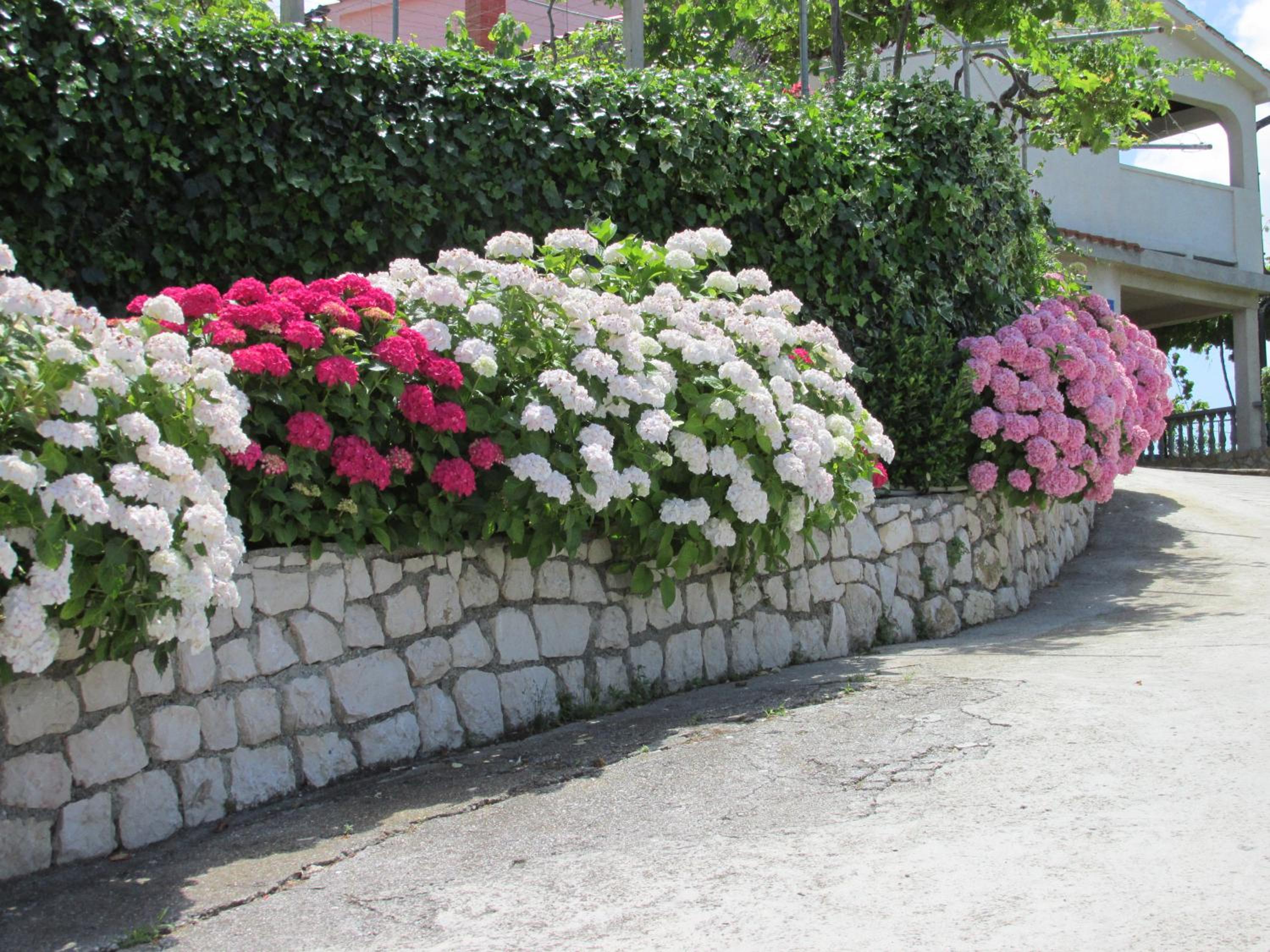 Photo 49