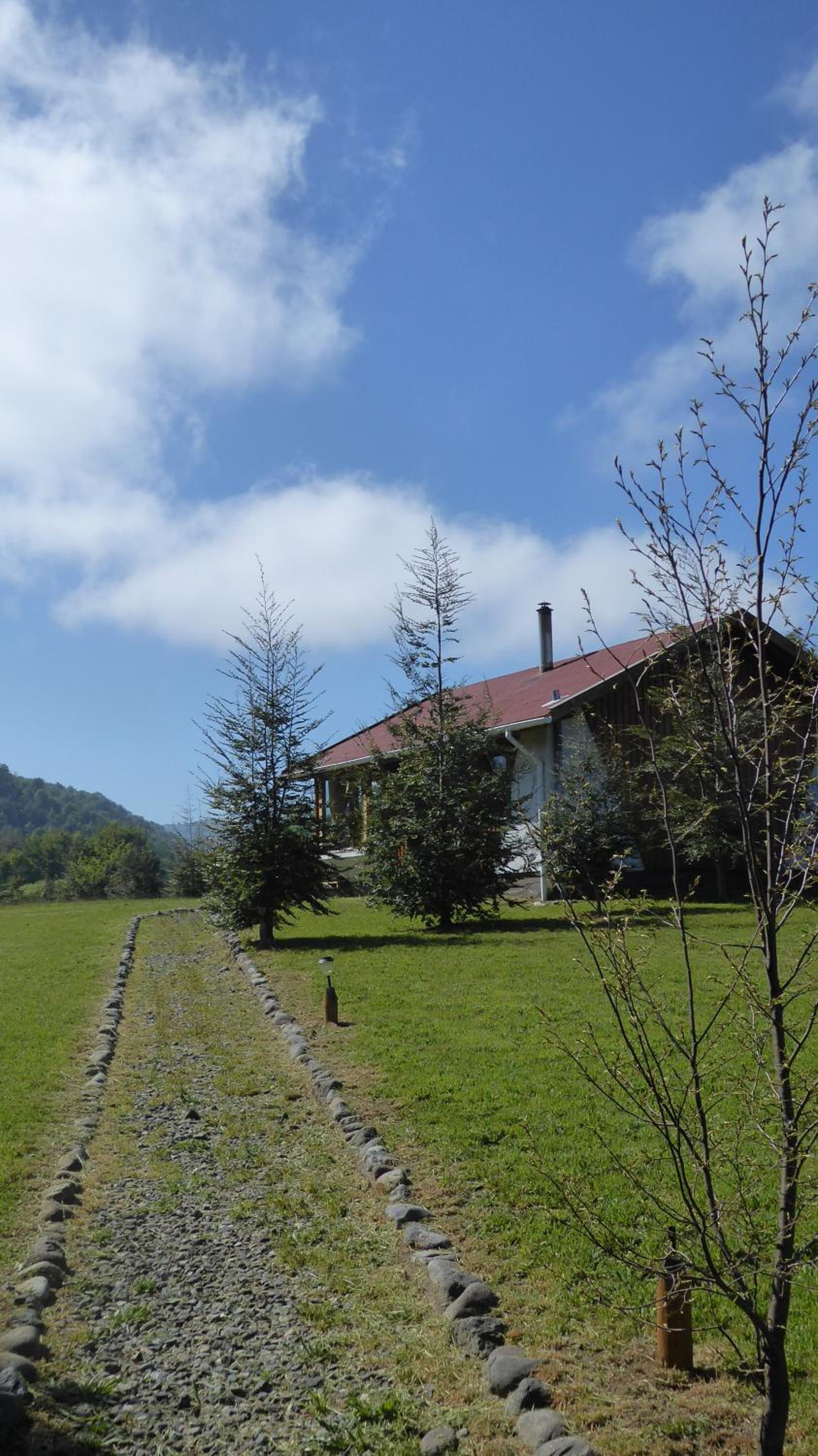 Photo 22