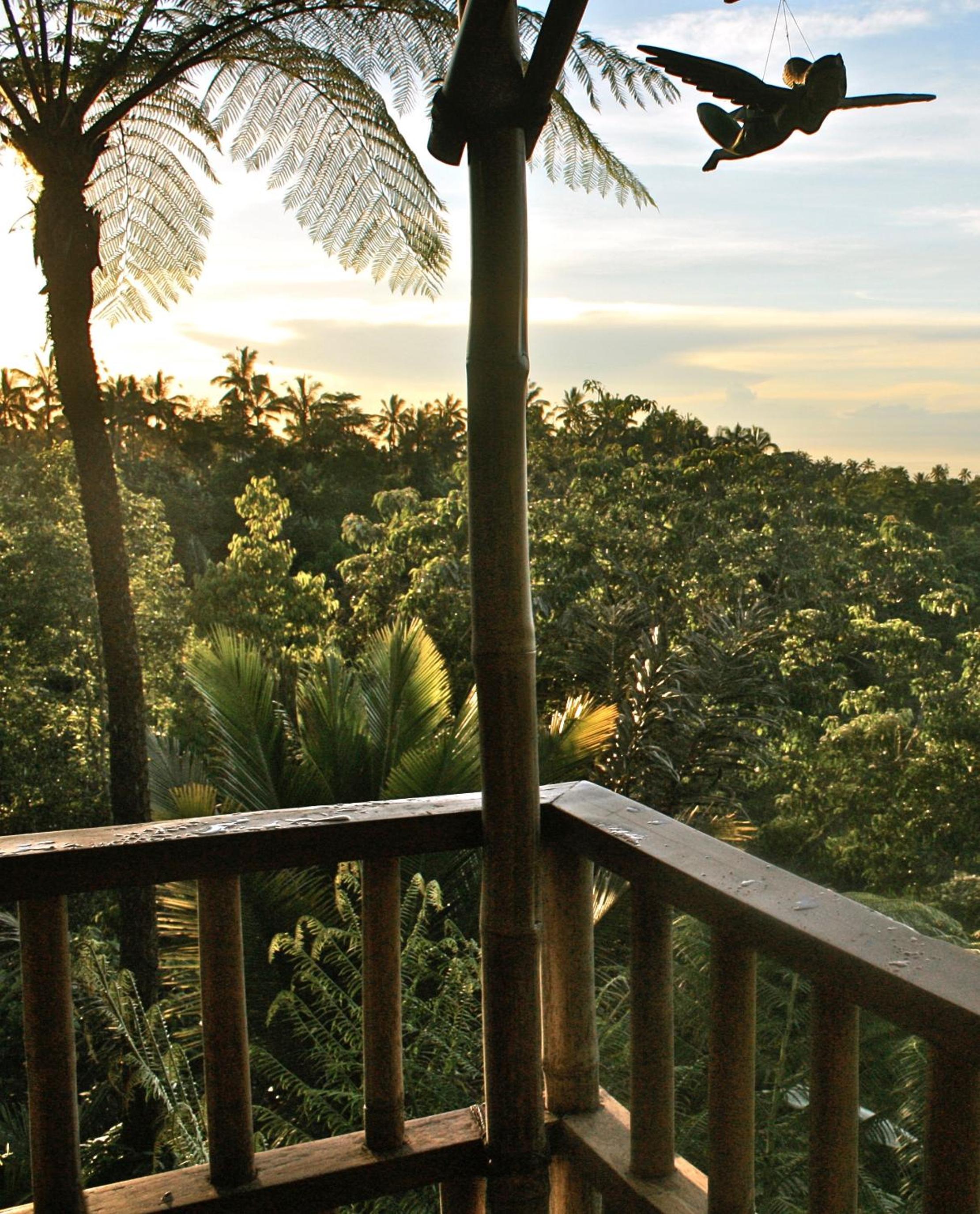 Sarinbuana Eco Lodge
