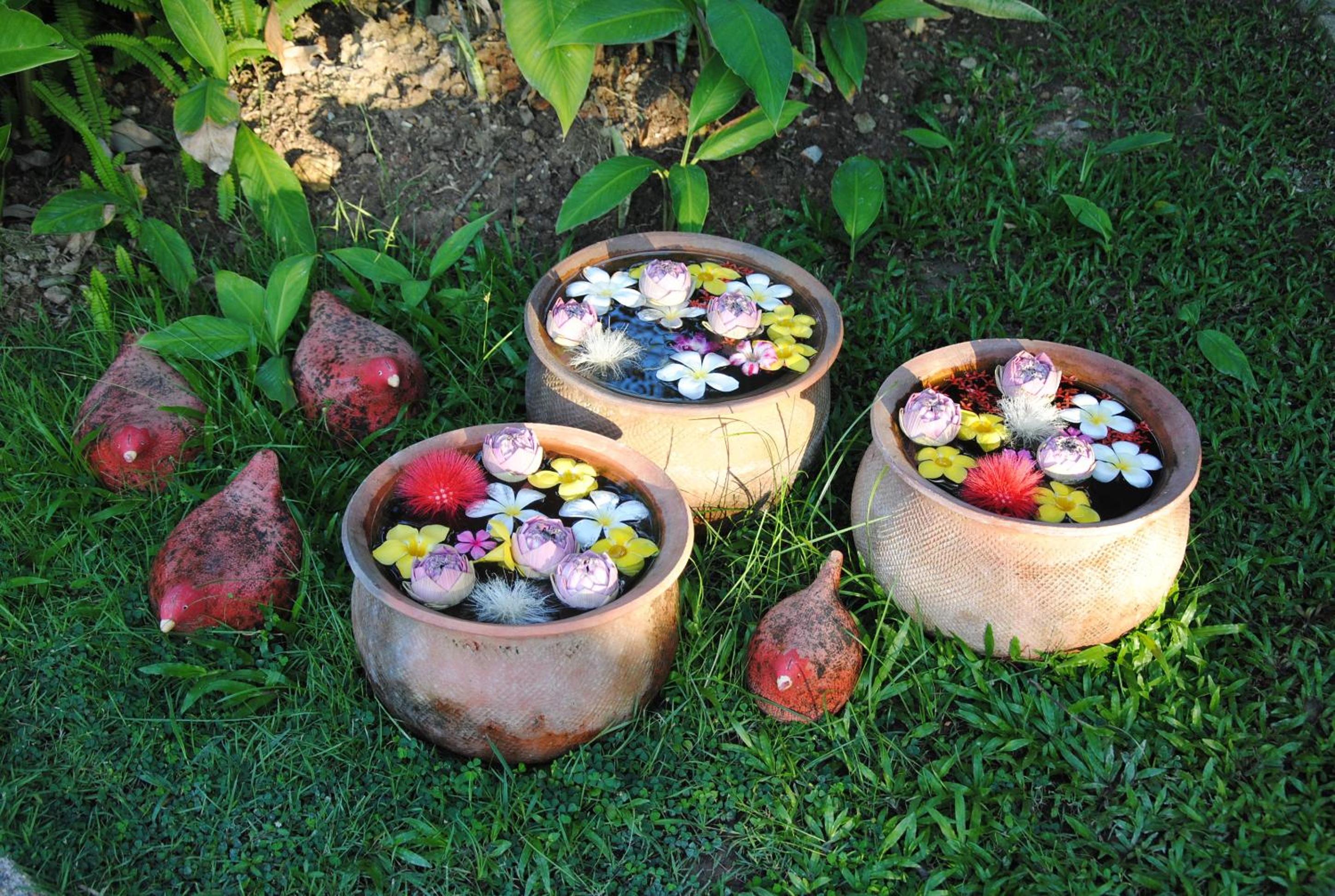 Baan Chai Thung Resort