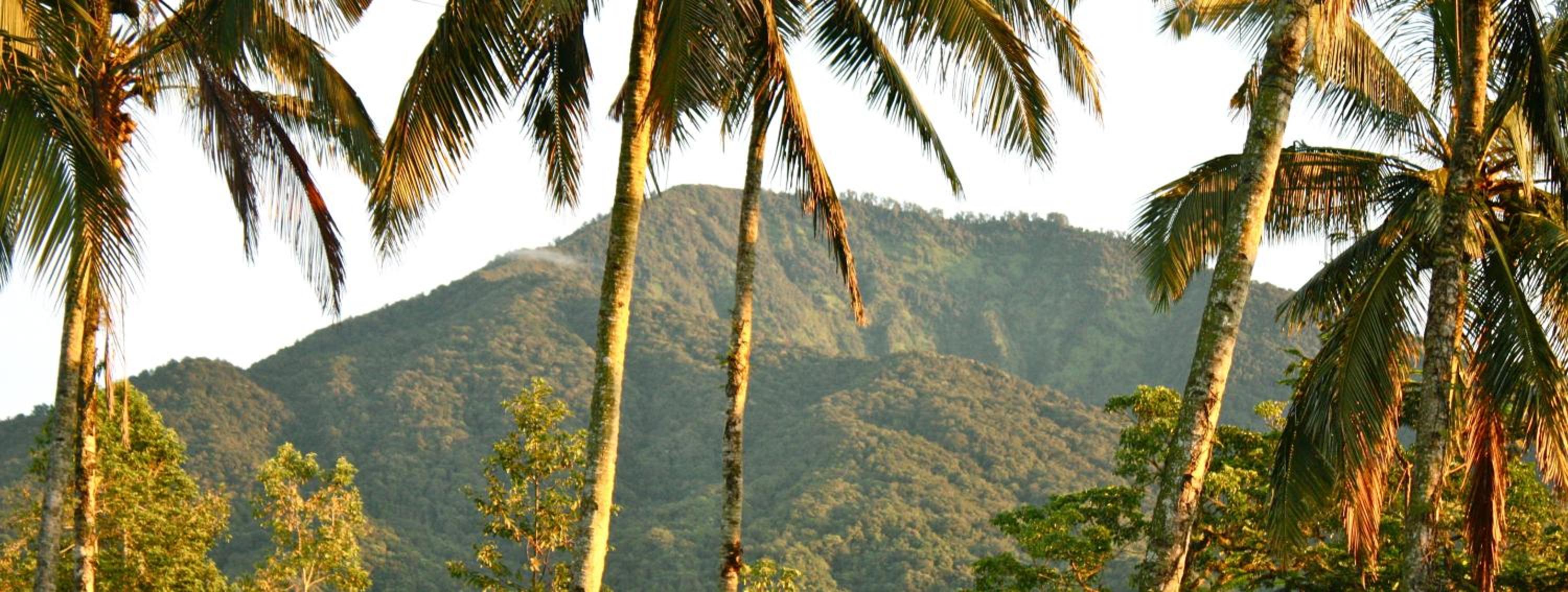 Sarinbuana Eco Lodge