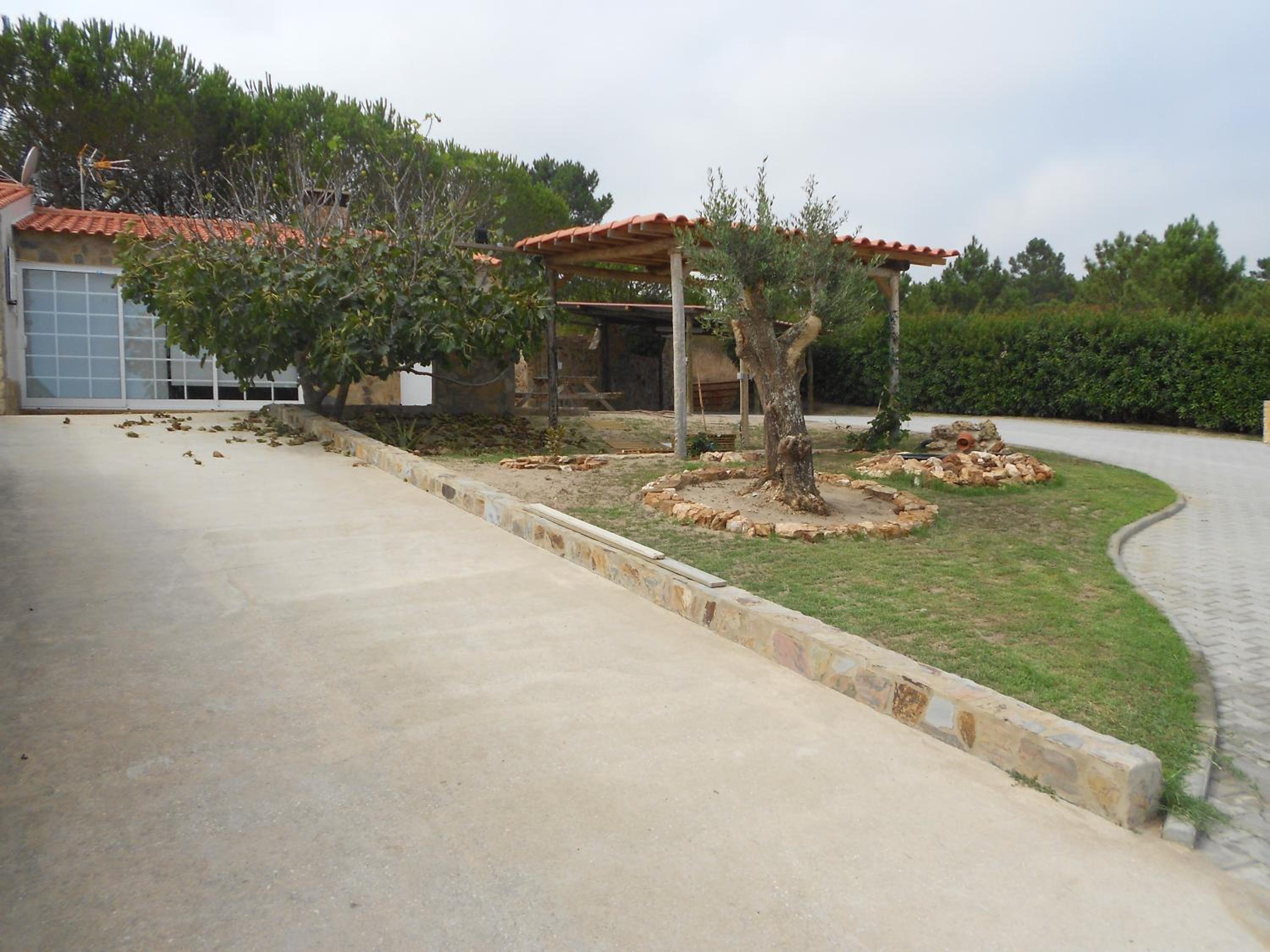 Photo 26
