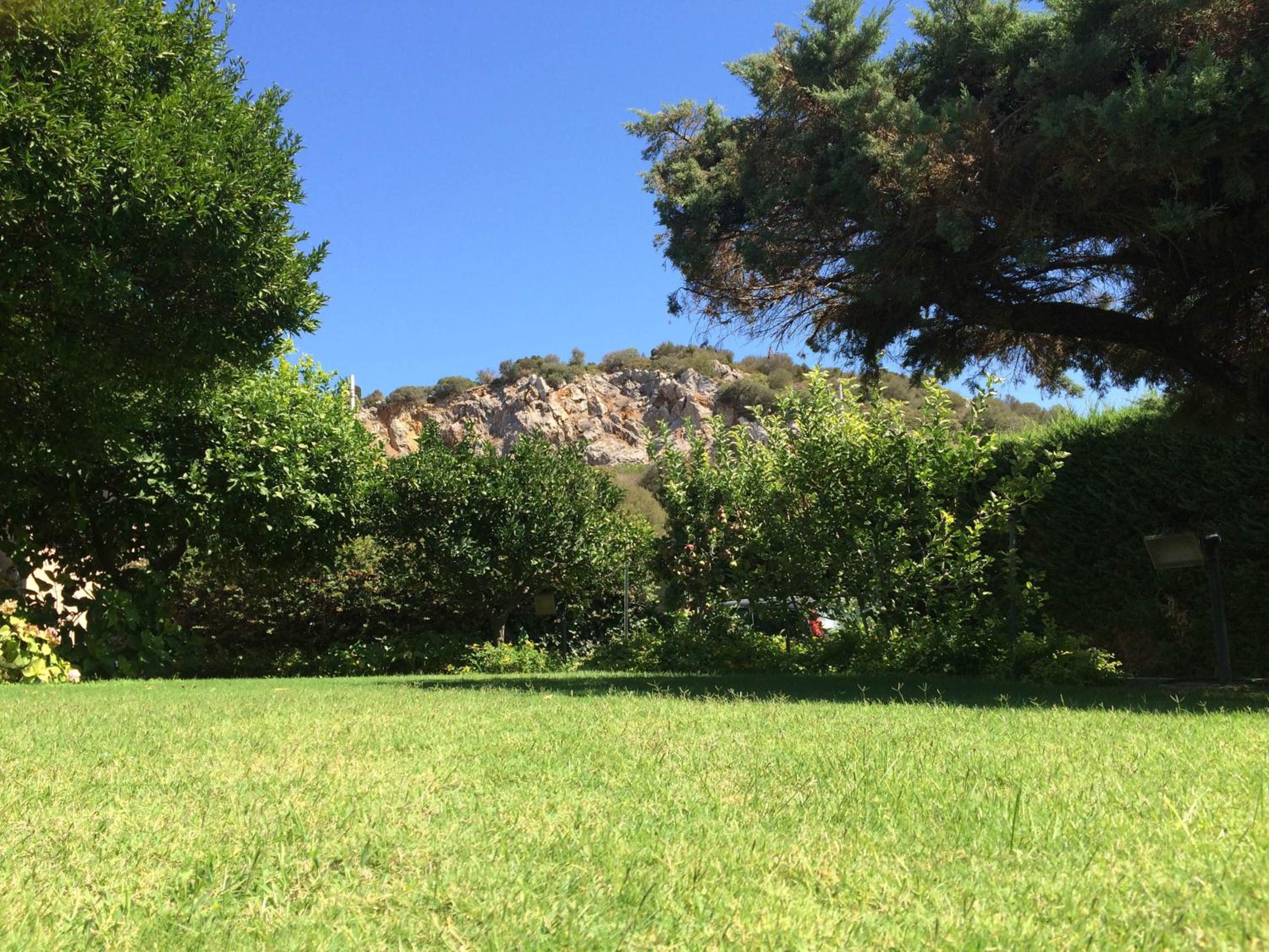 Photo 42
