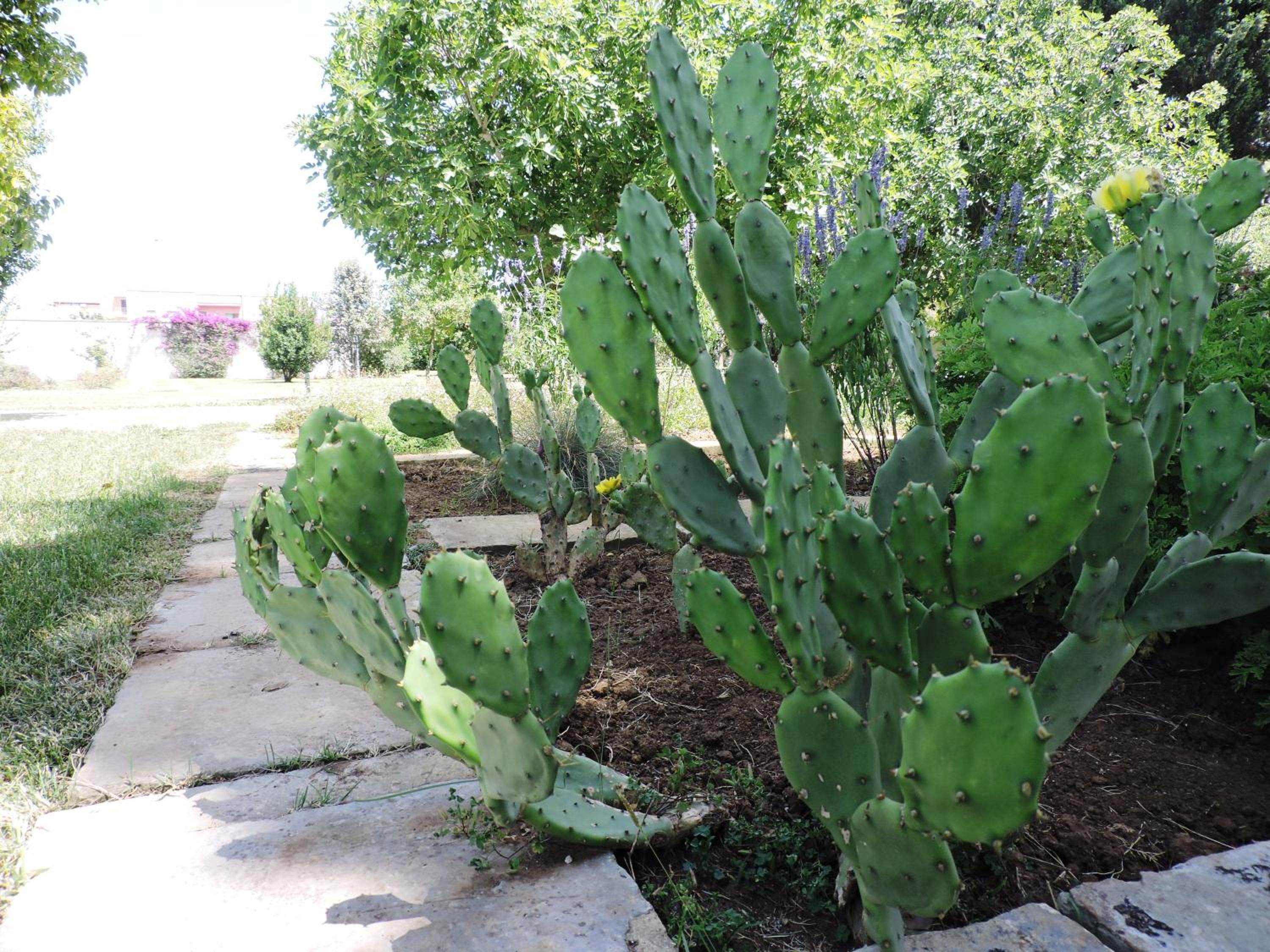 Photo 22