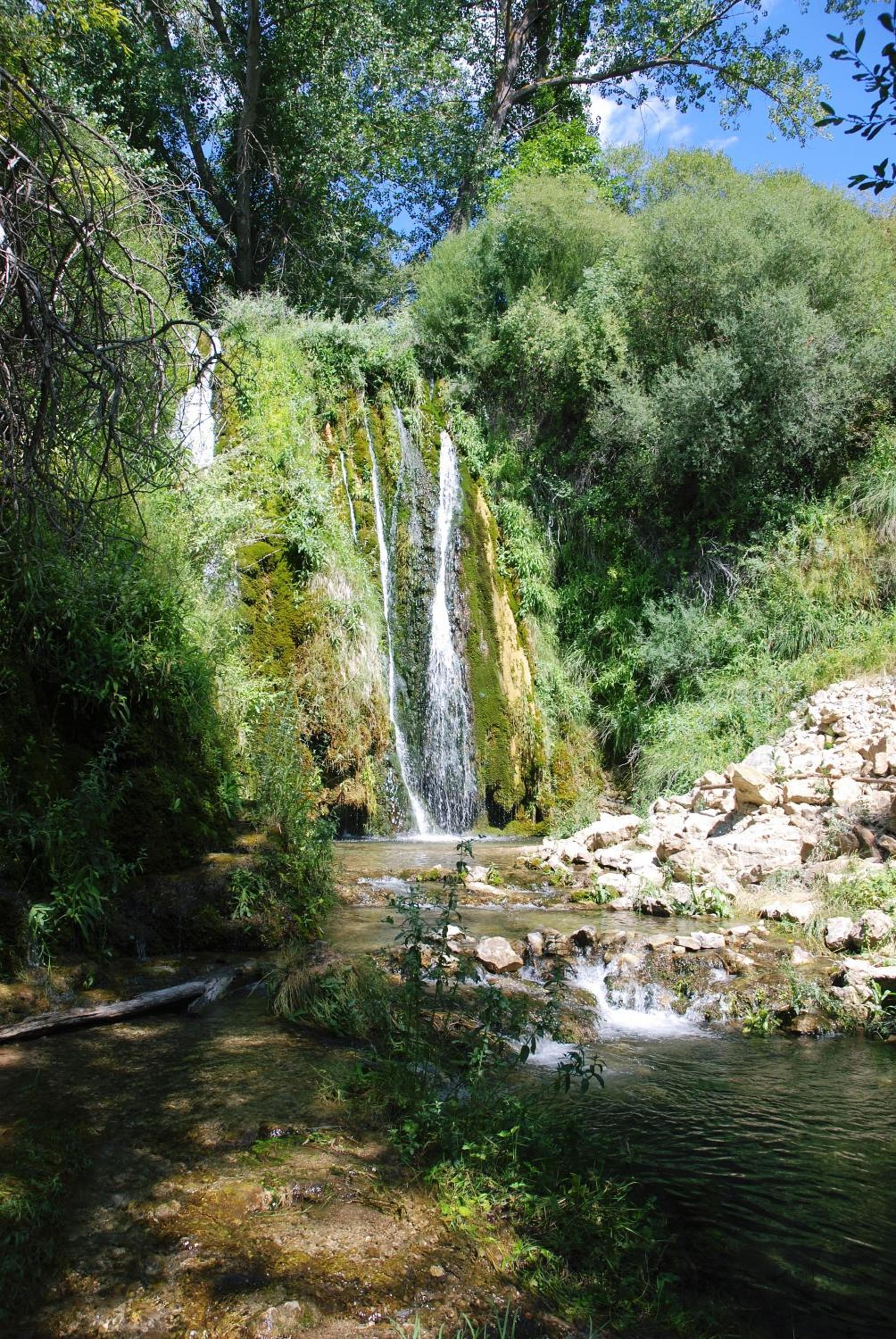 Photo 10