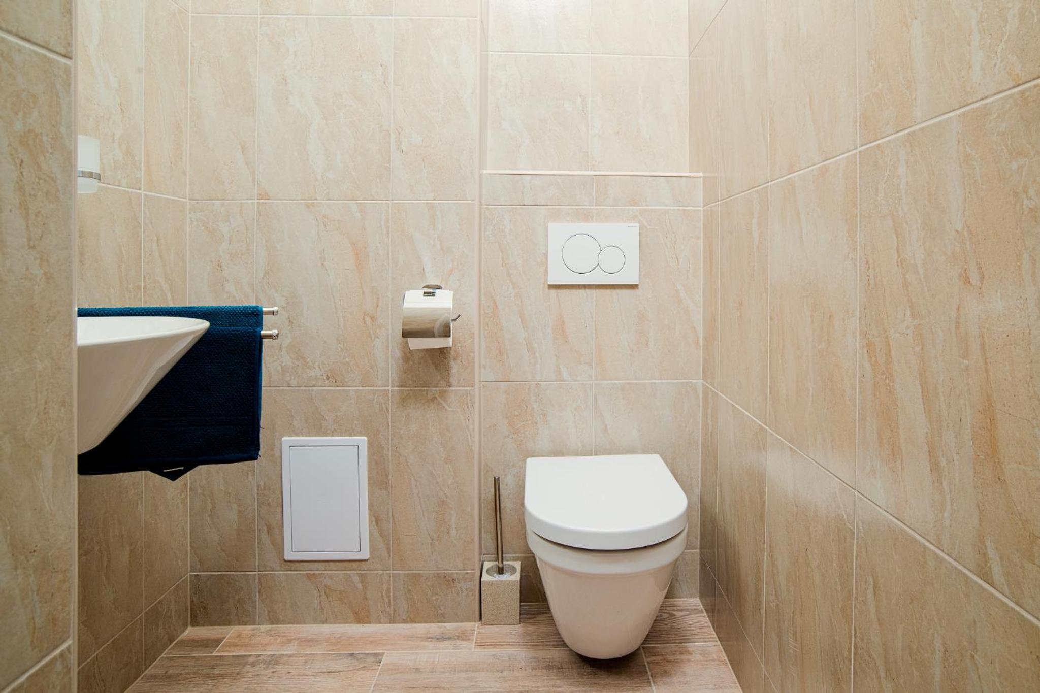 Apartment Gesse Březinova