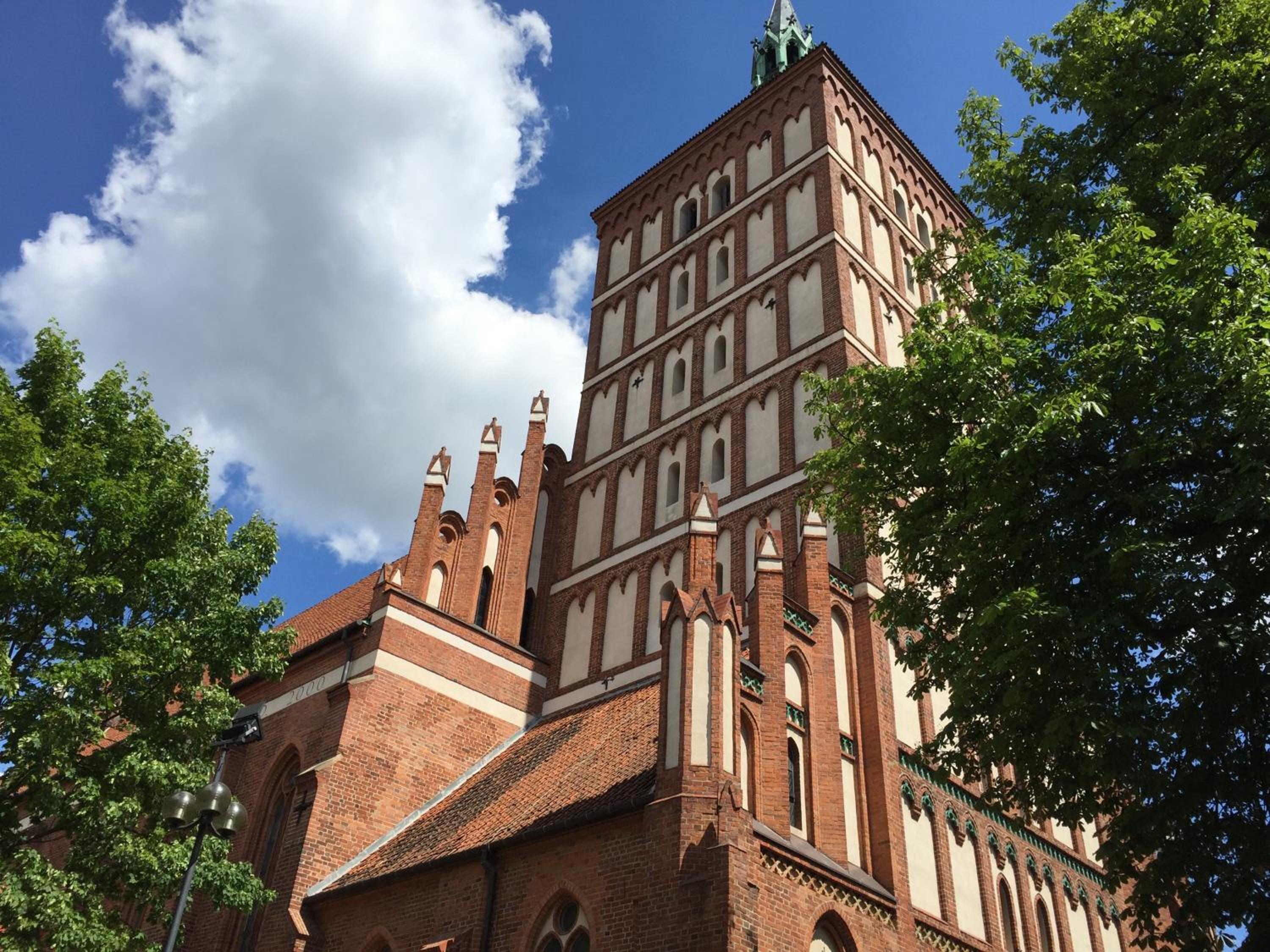 Photo 21