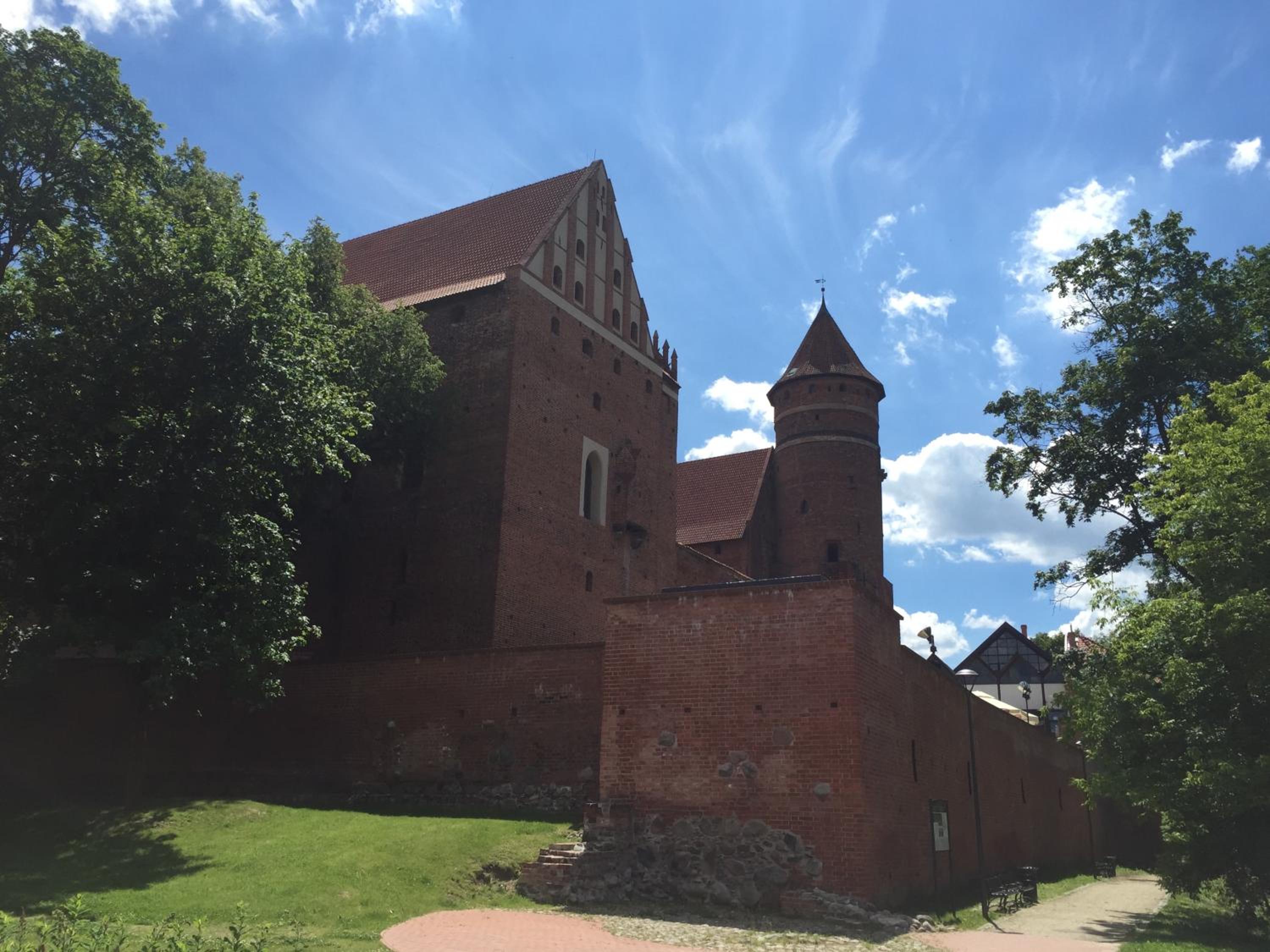 Photo 19