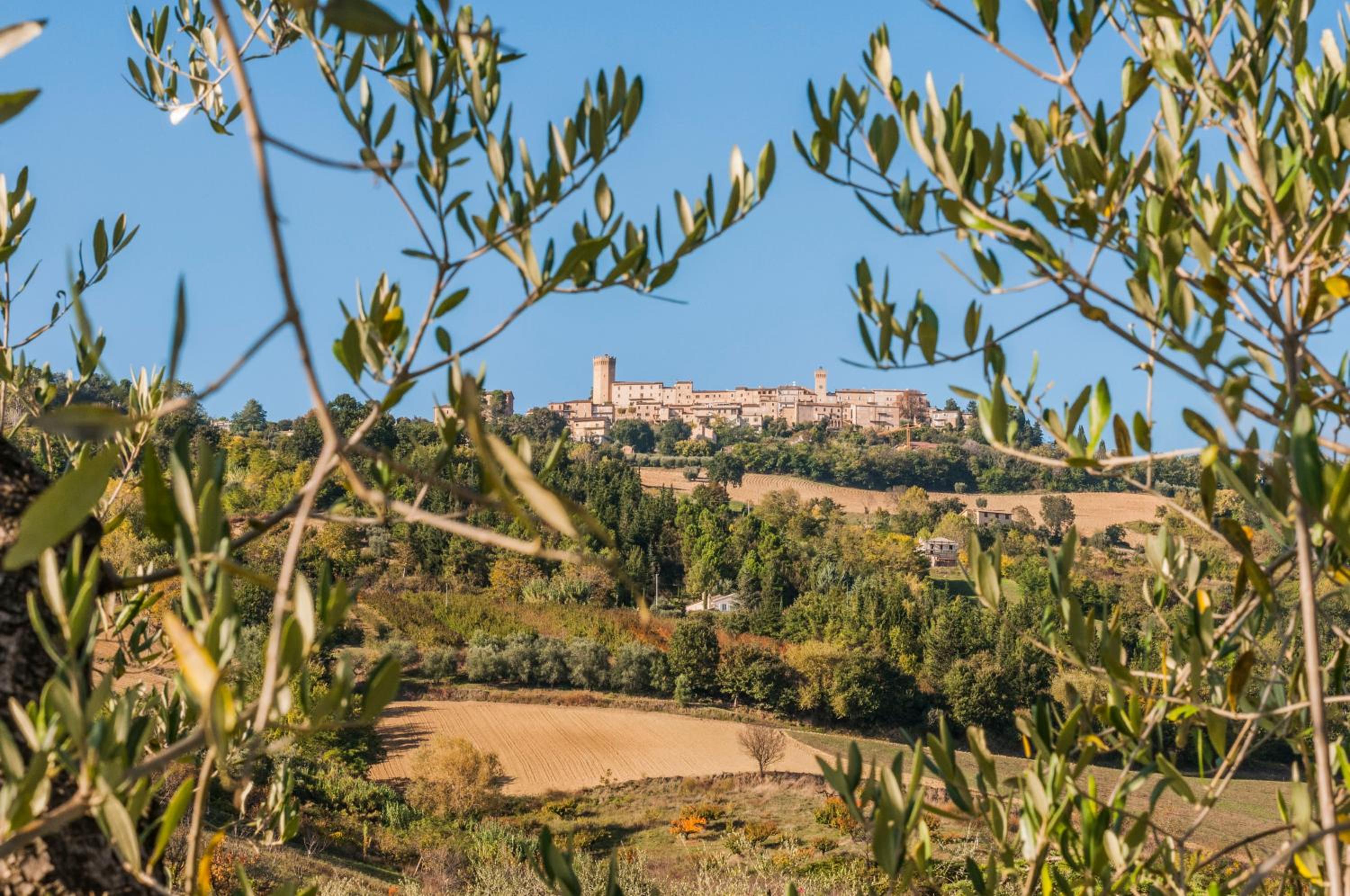 Moresco Agriturismo