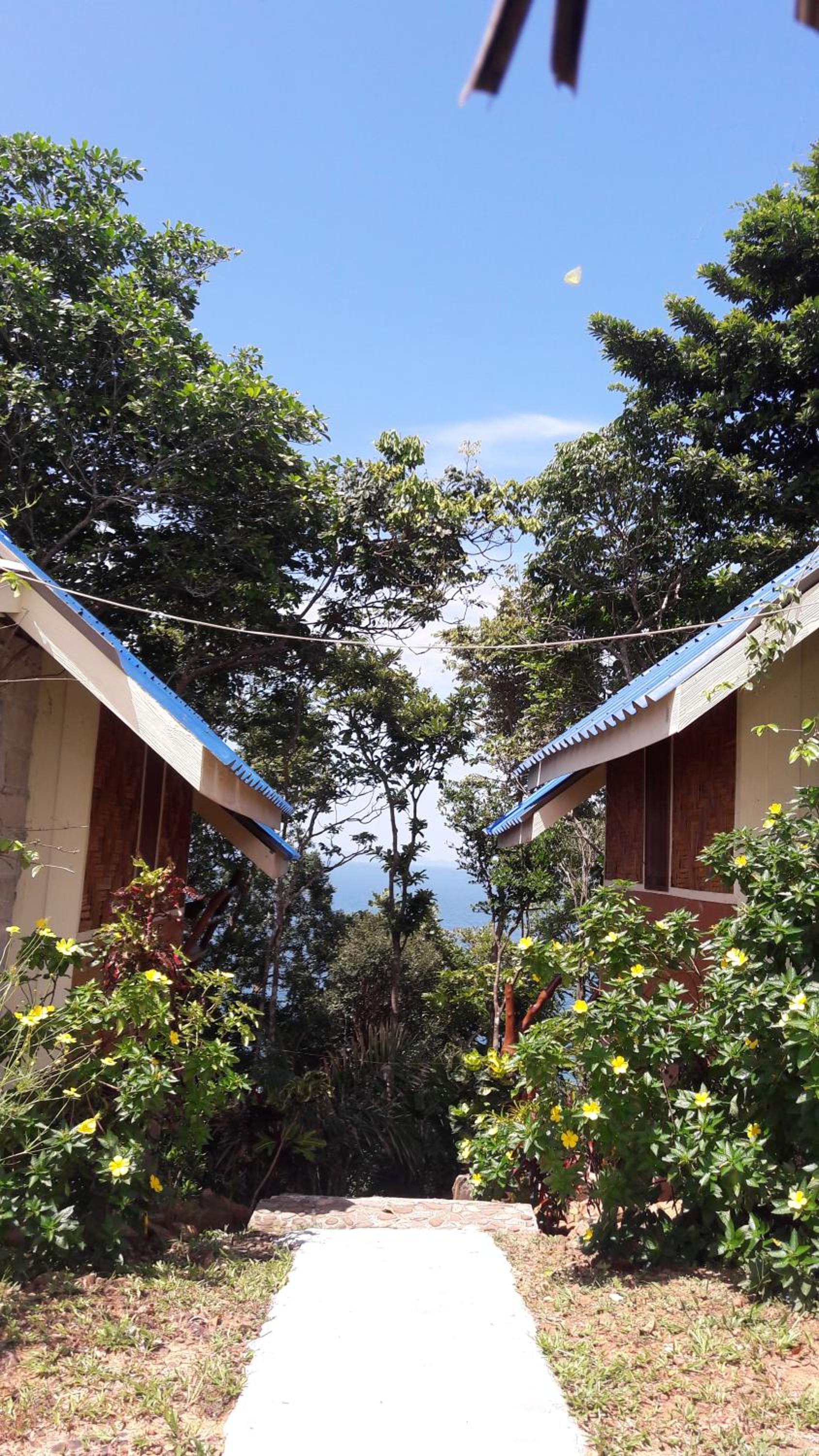Good Morning Bungalow