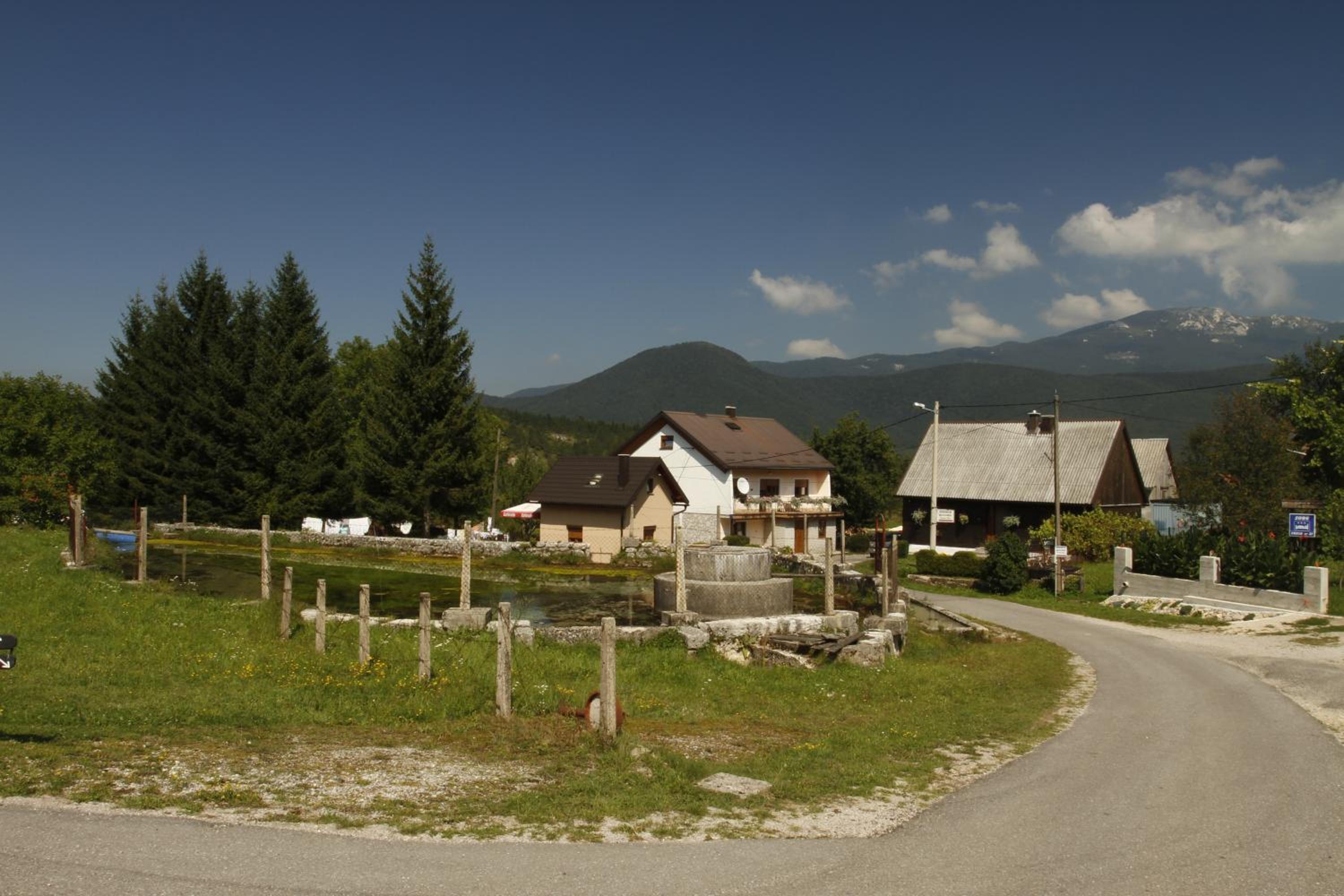House Drakulić