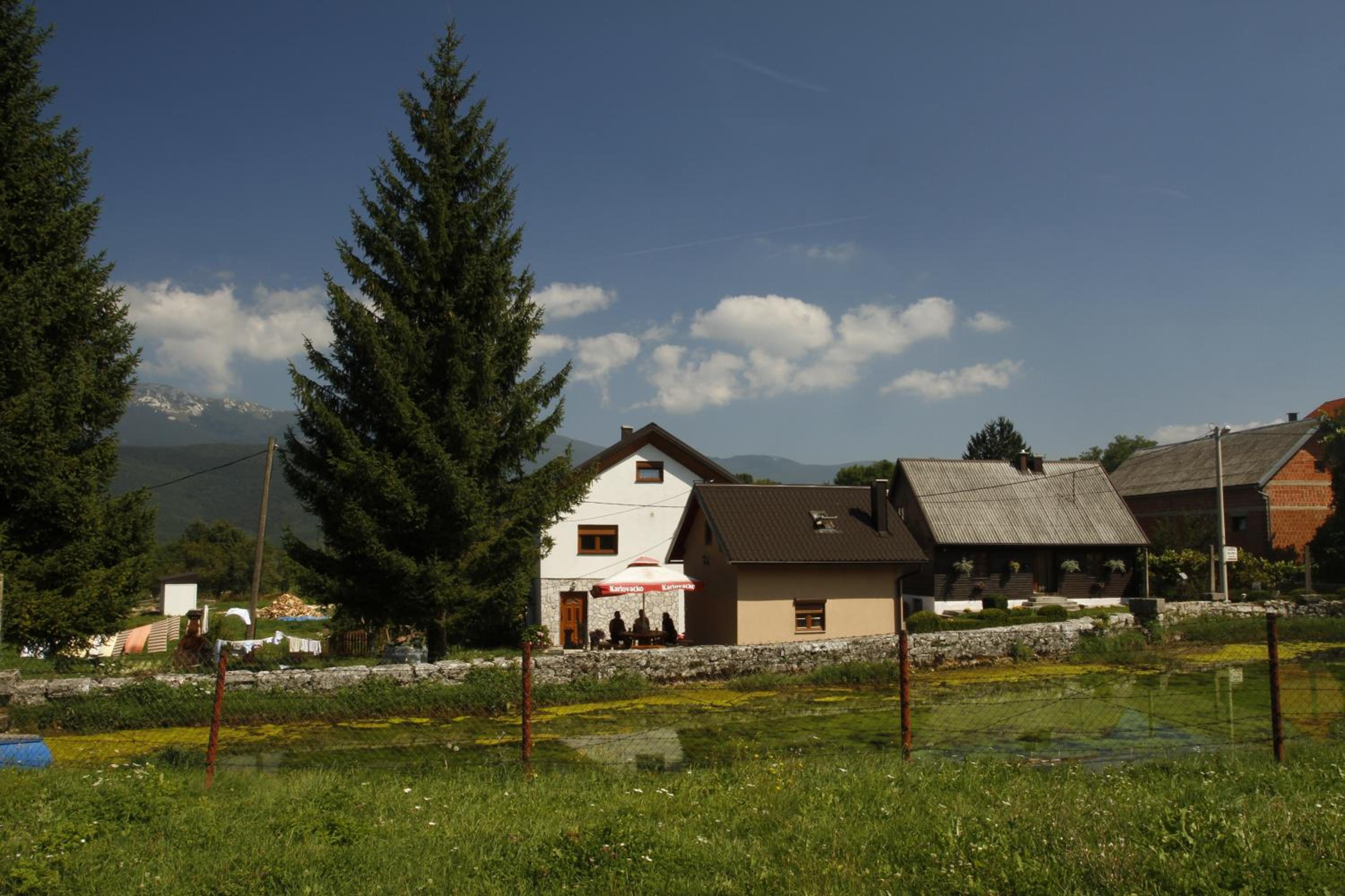 House Drakulić