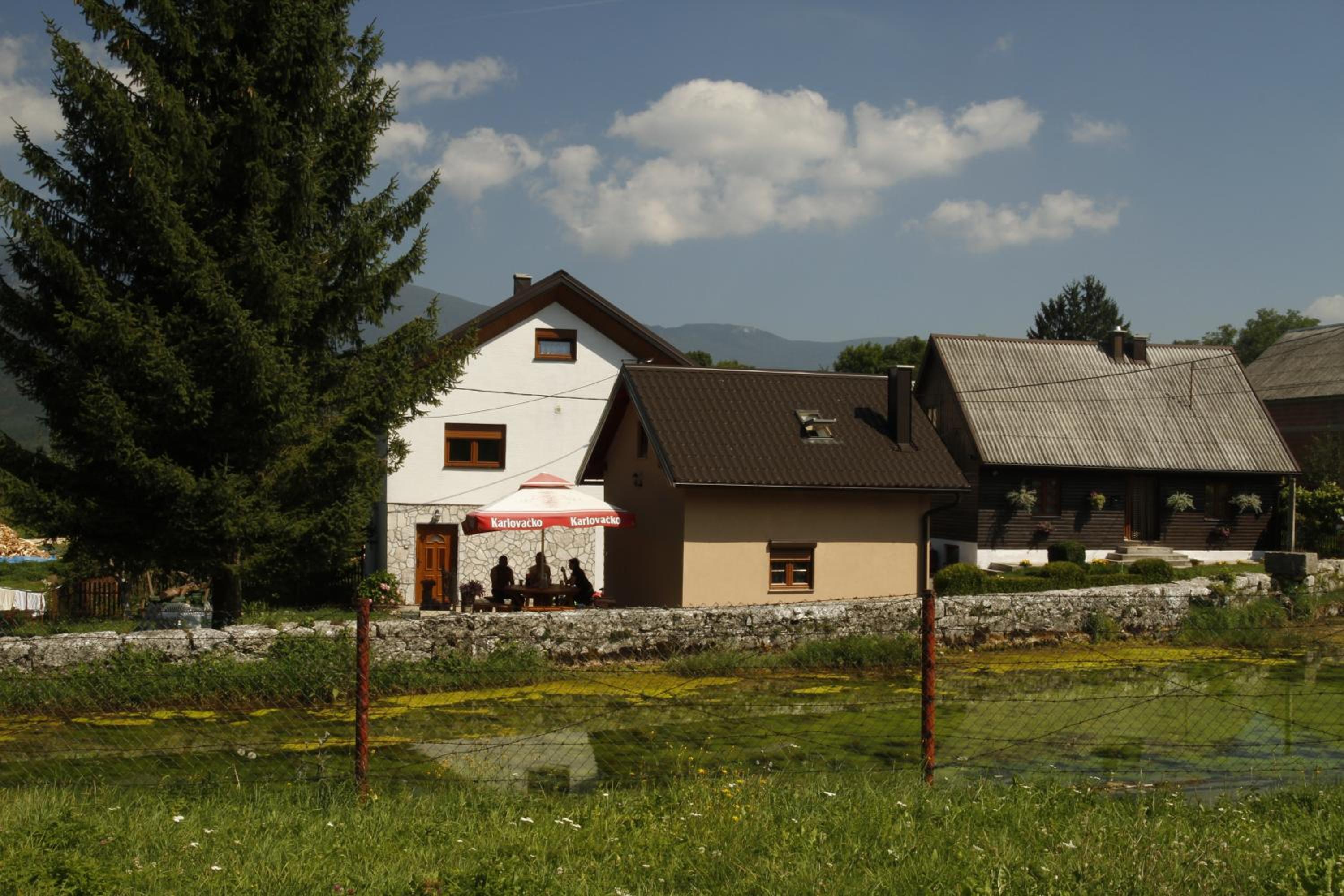 House Drakulić