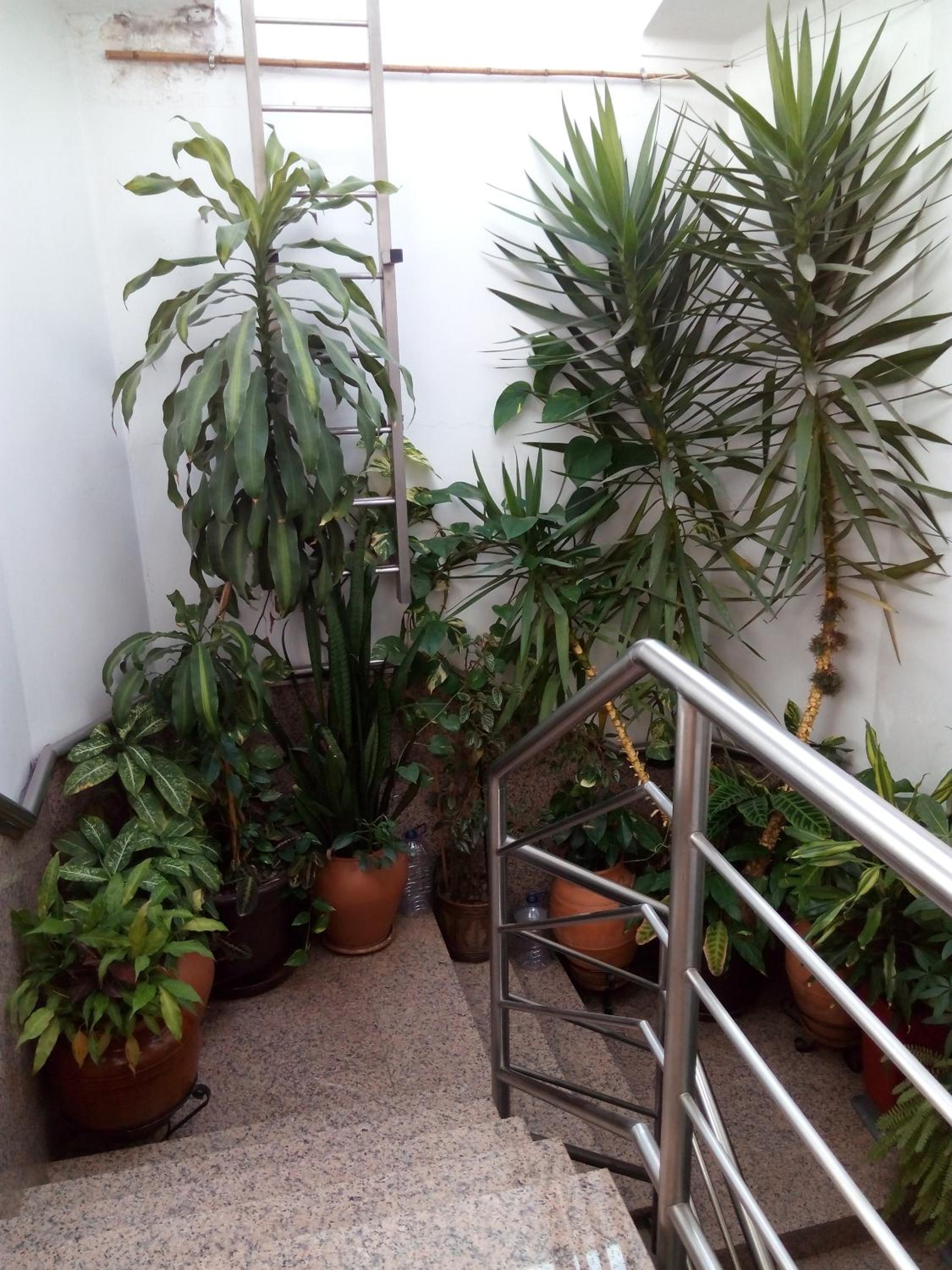 Residencial Moeda